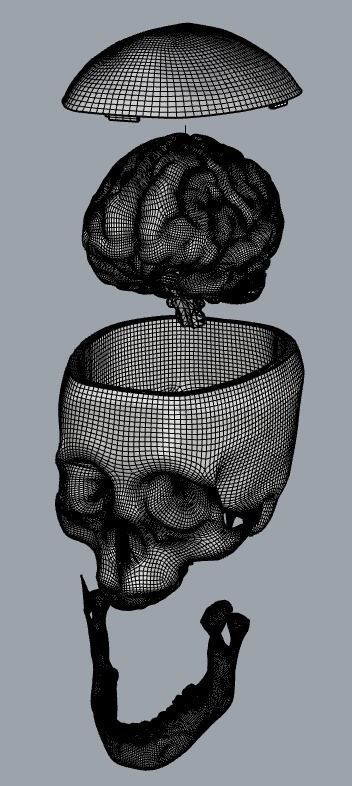 Insertable Human Skull and Brain 3D print model_12