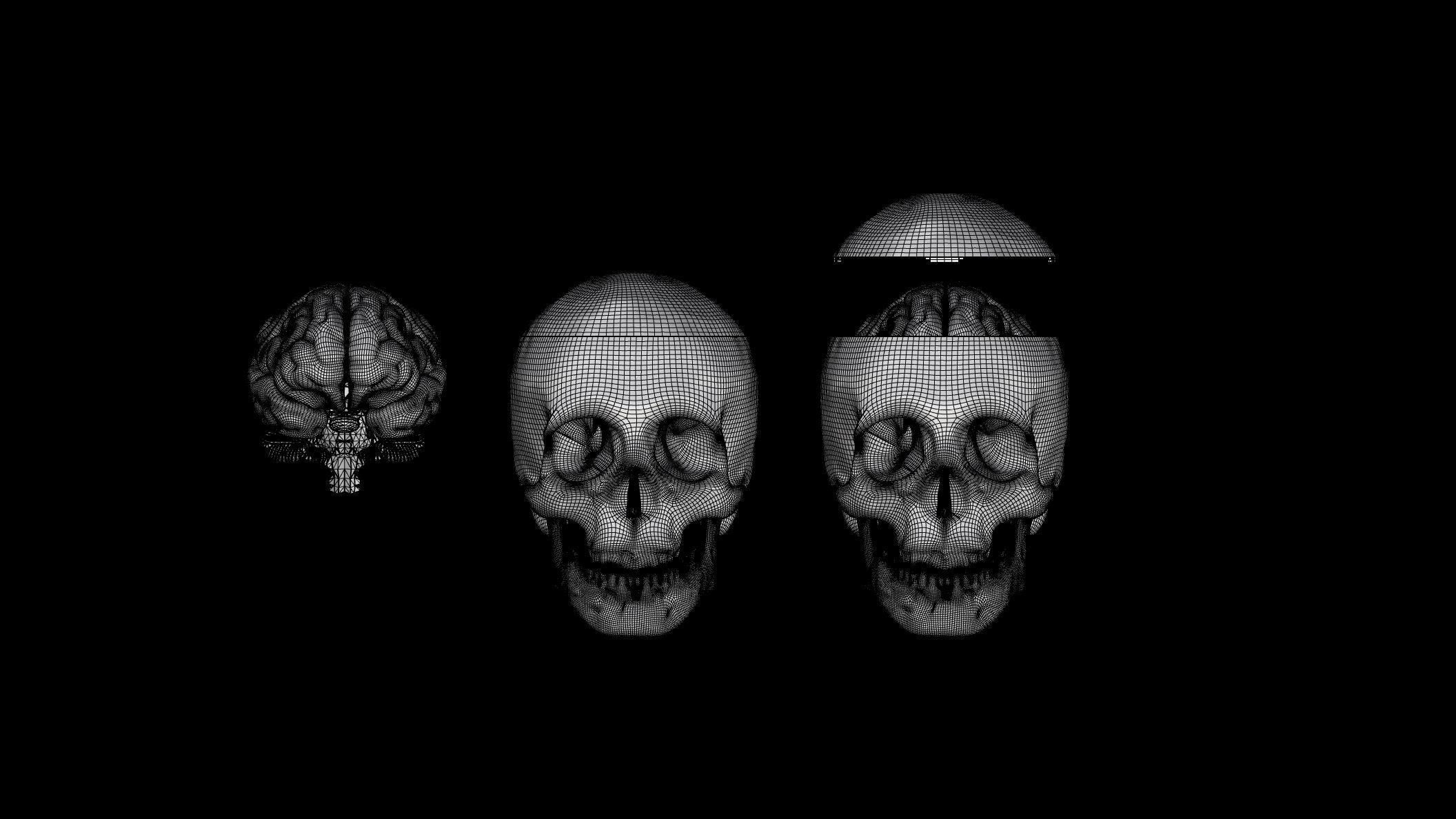 Insertable Human Skull and Brain 3D print model_1
