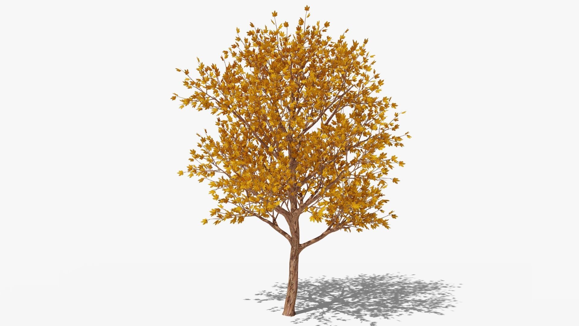 Stylized Cartoon Maple Tree with Orange Leaves Low-poly 3D model_1