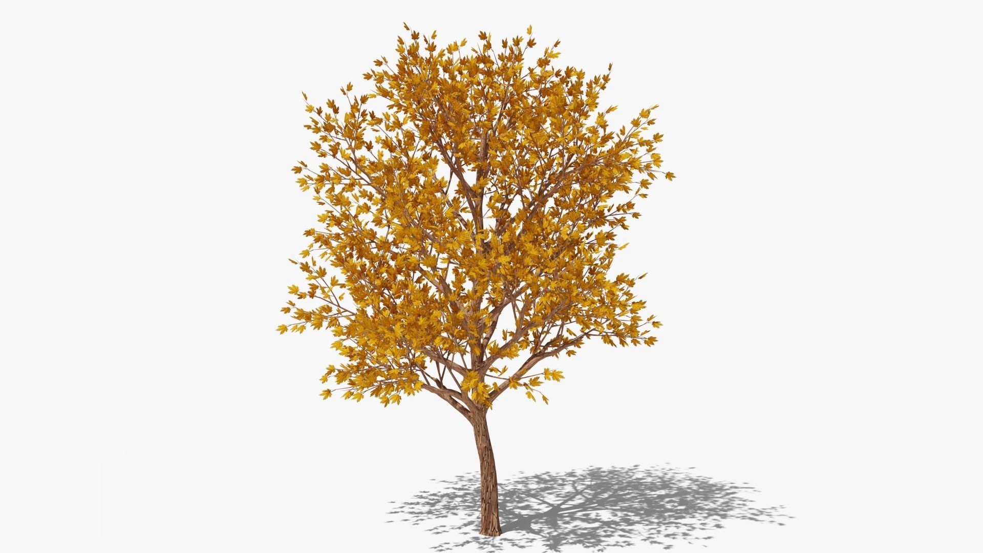 Stylized Cartoon Maple Tree with Orange Leaves Low-poly 3D model_3
