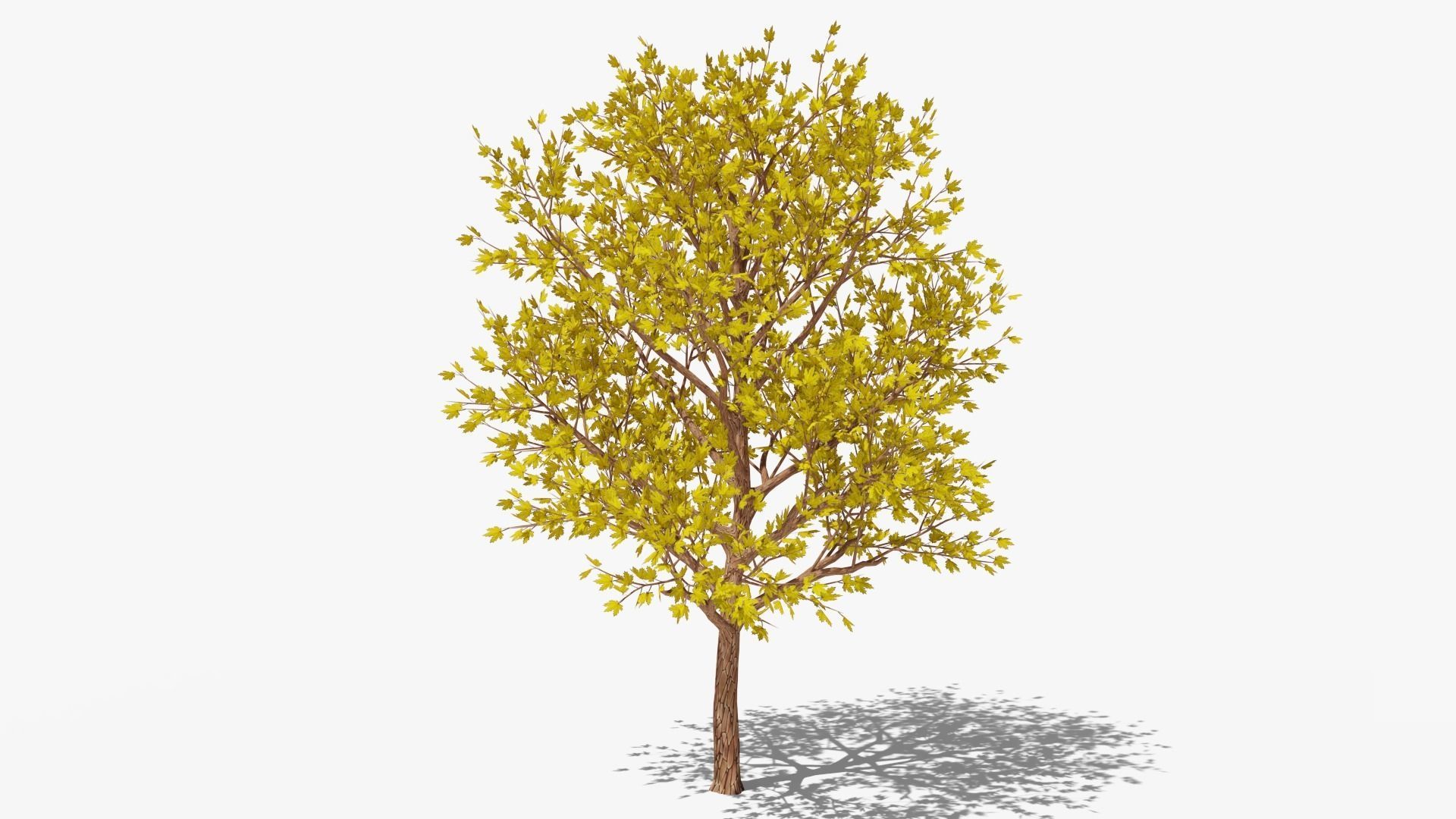 Stylized Cartoon Maple Tree with Yellow Leaves Low-poly 3D model_5