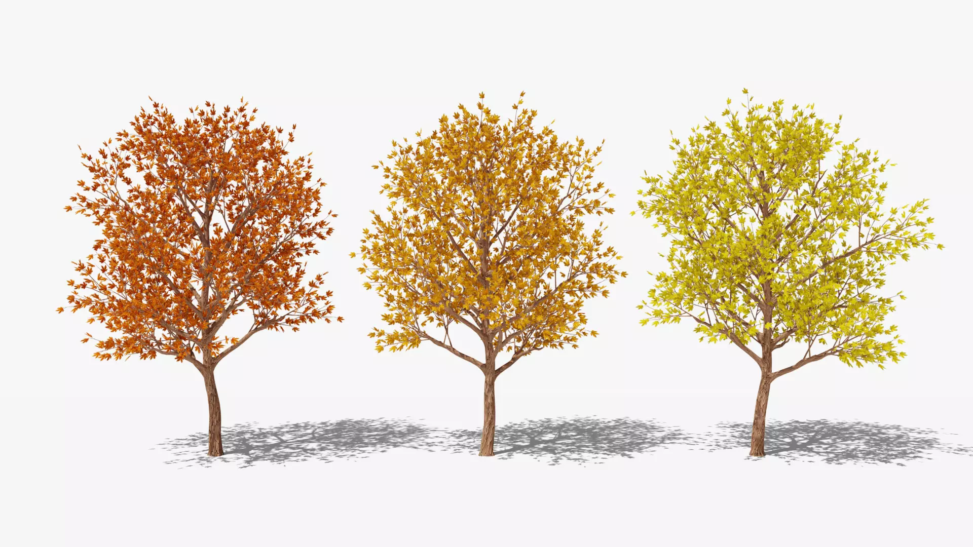 Stylized Cartoon Maples Set 3D Model Collection_0