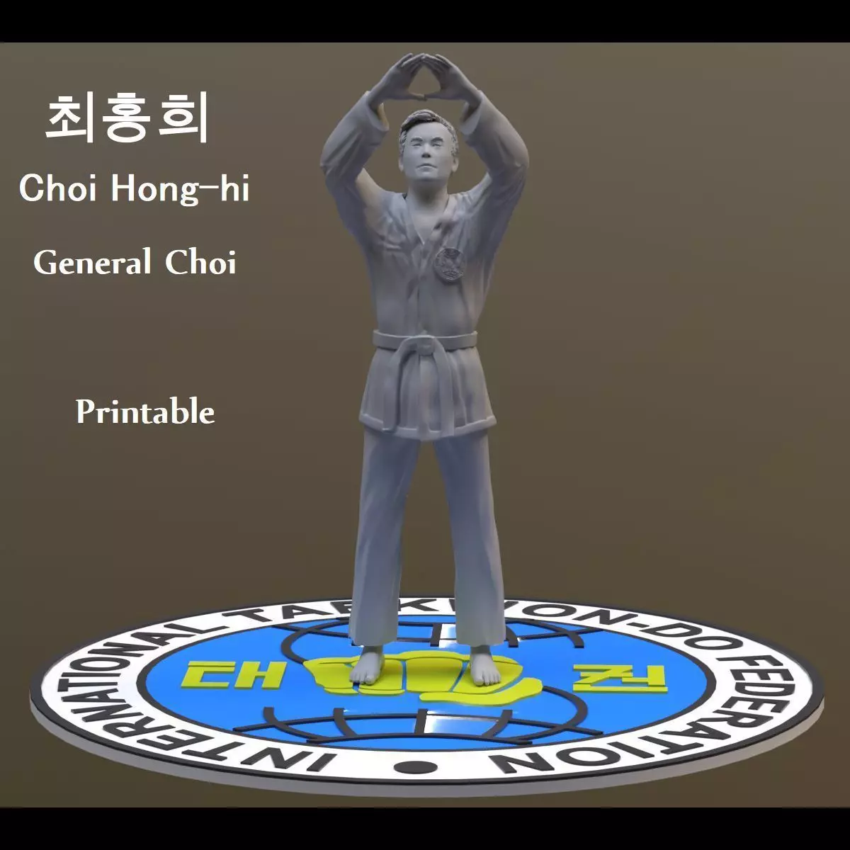 General Choi Hong-hi Printable 3D print model