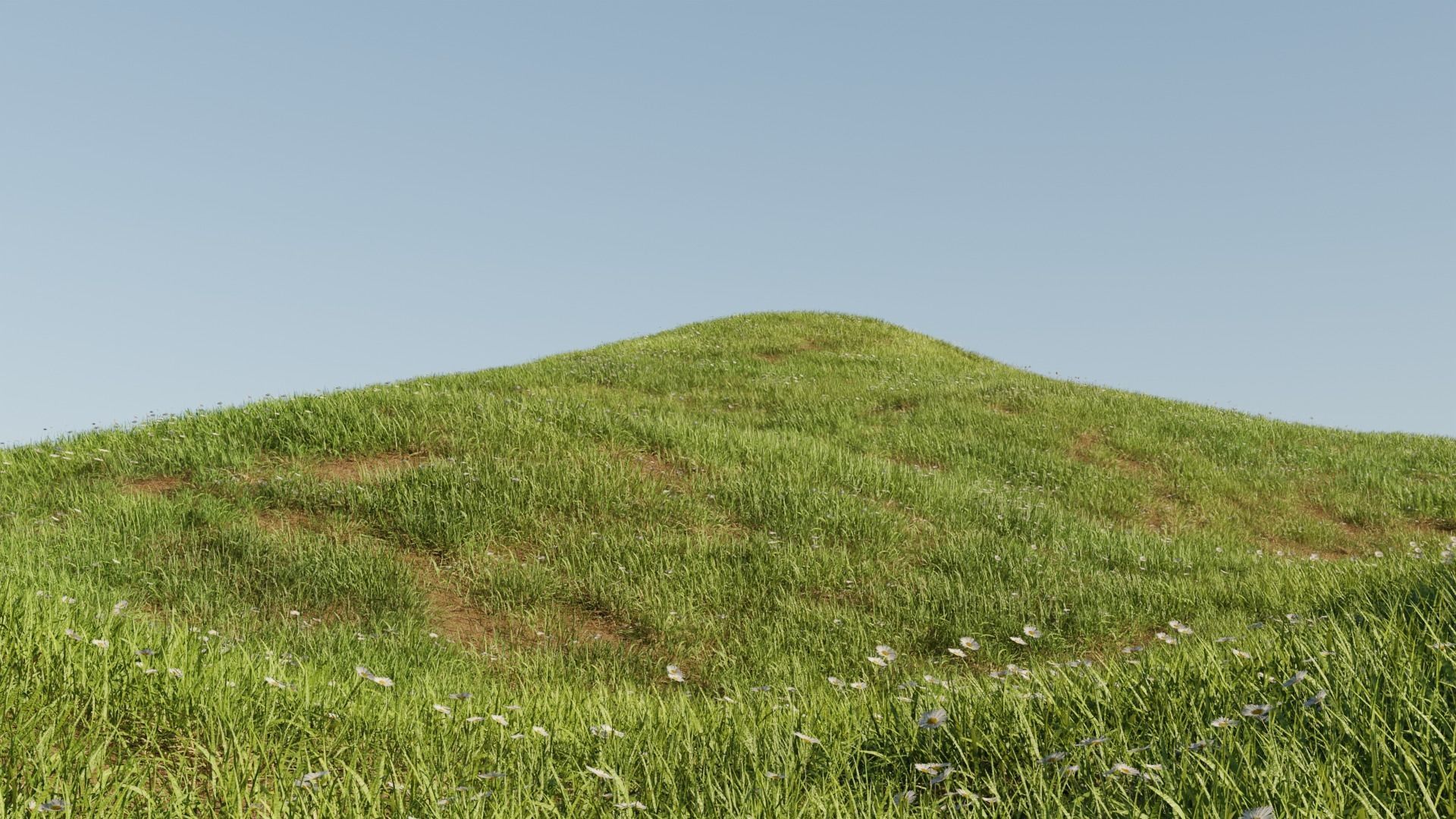 Grass Landscape 3d Model For Free Free low-poly 3D model_1