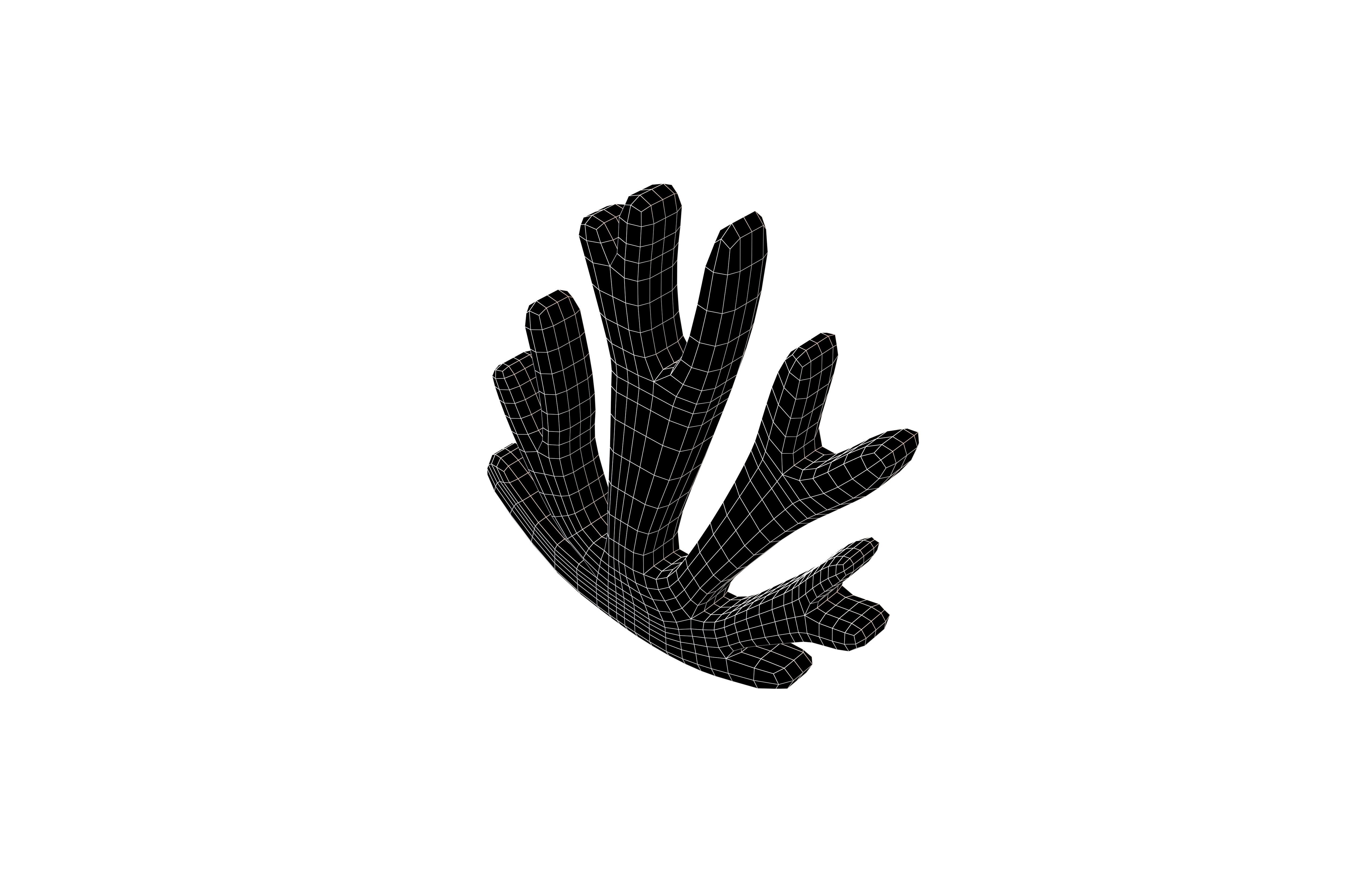 Cartoon Coral v1 004 Low-poly 3D model_5