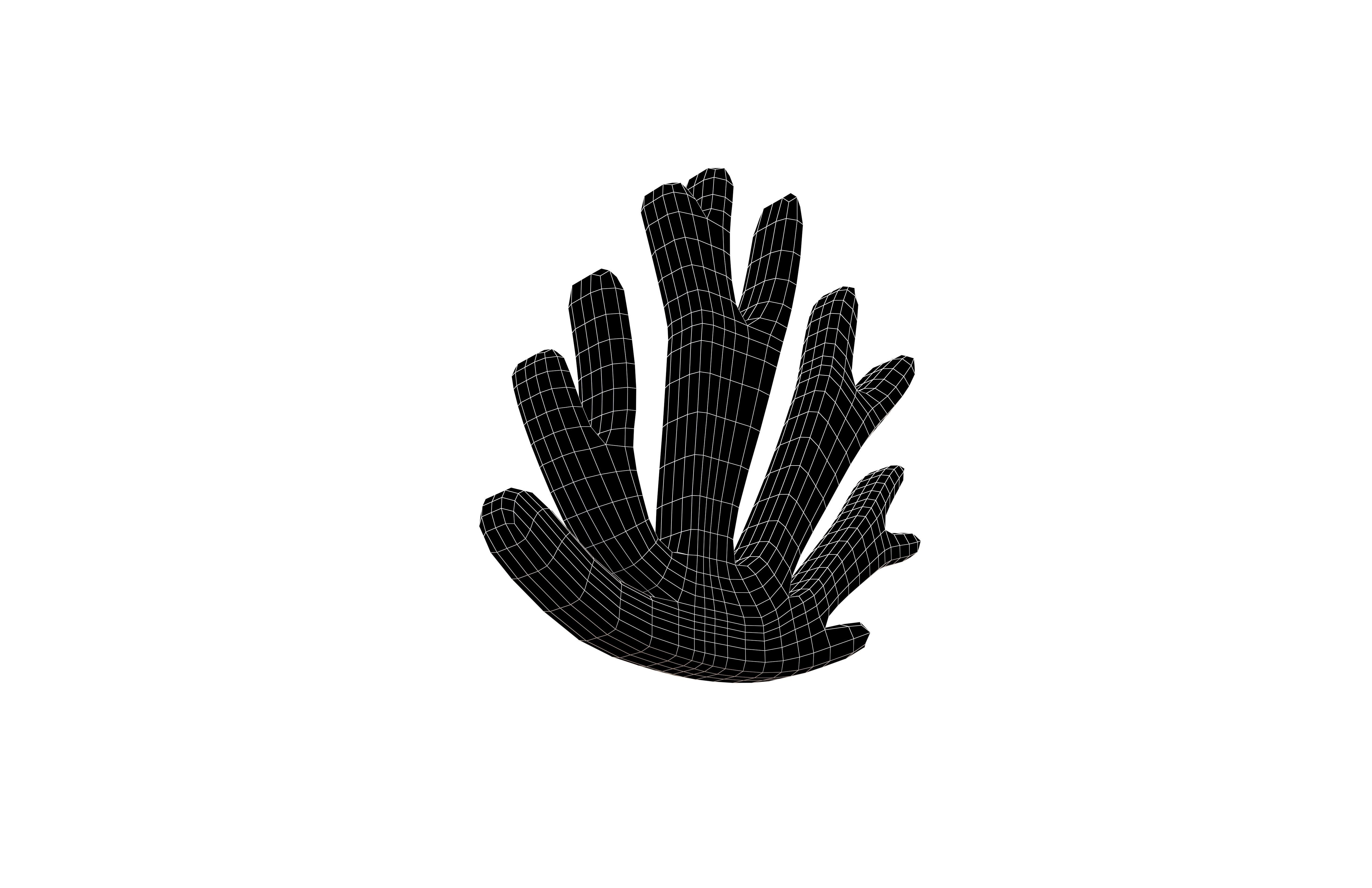 Cartoon Coral v1 004 Low-poly 3D model_6