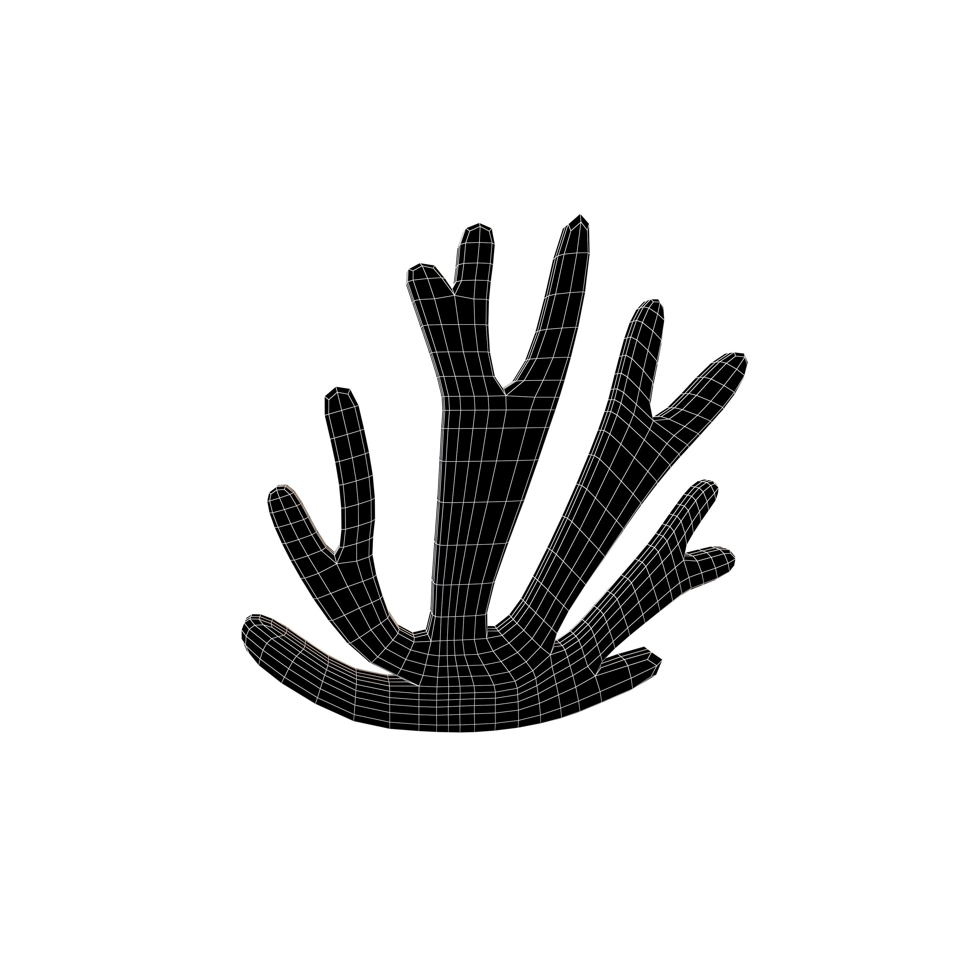 Cartoon Coral v1 004 Low-poly 3D model_4