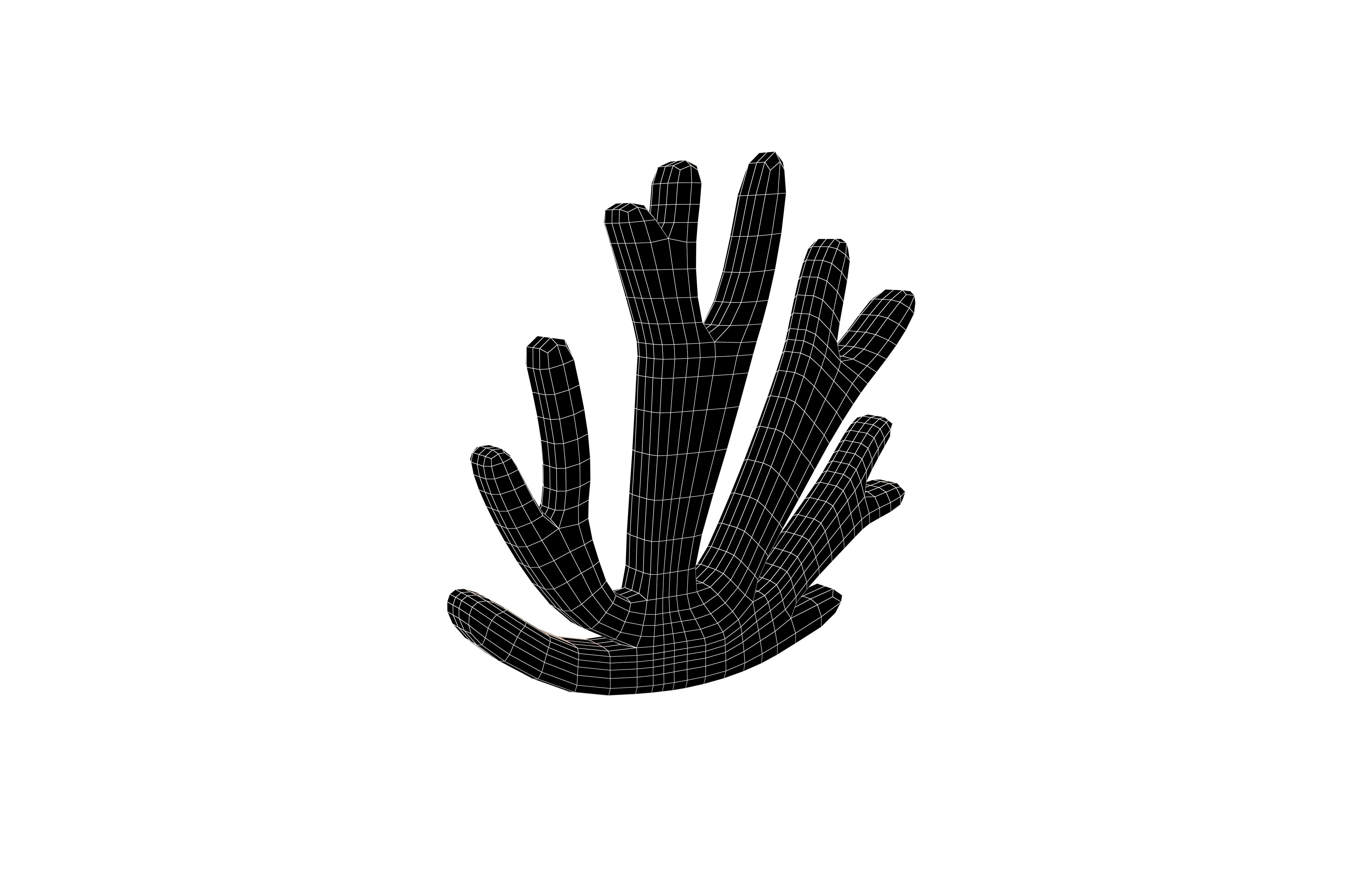 Cartoon Coral v1 004 Low-poly 3D model_7