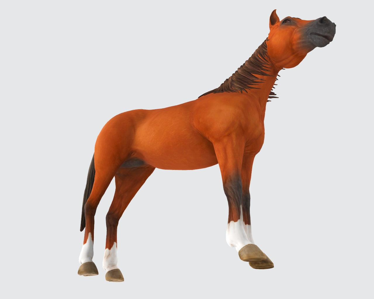 Brown Horse Animal 3D Model Ready to Print 3D print model_5