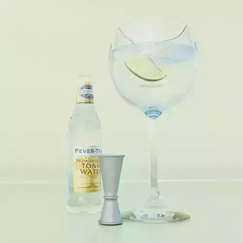 Gin and Tonic