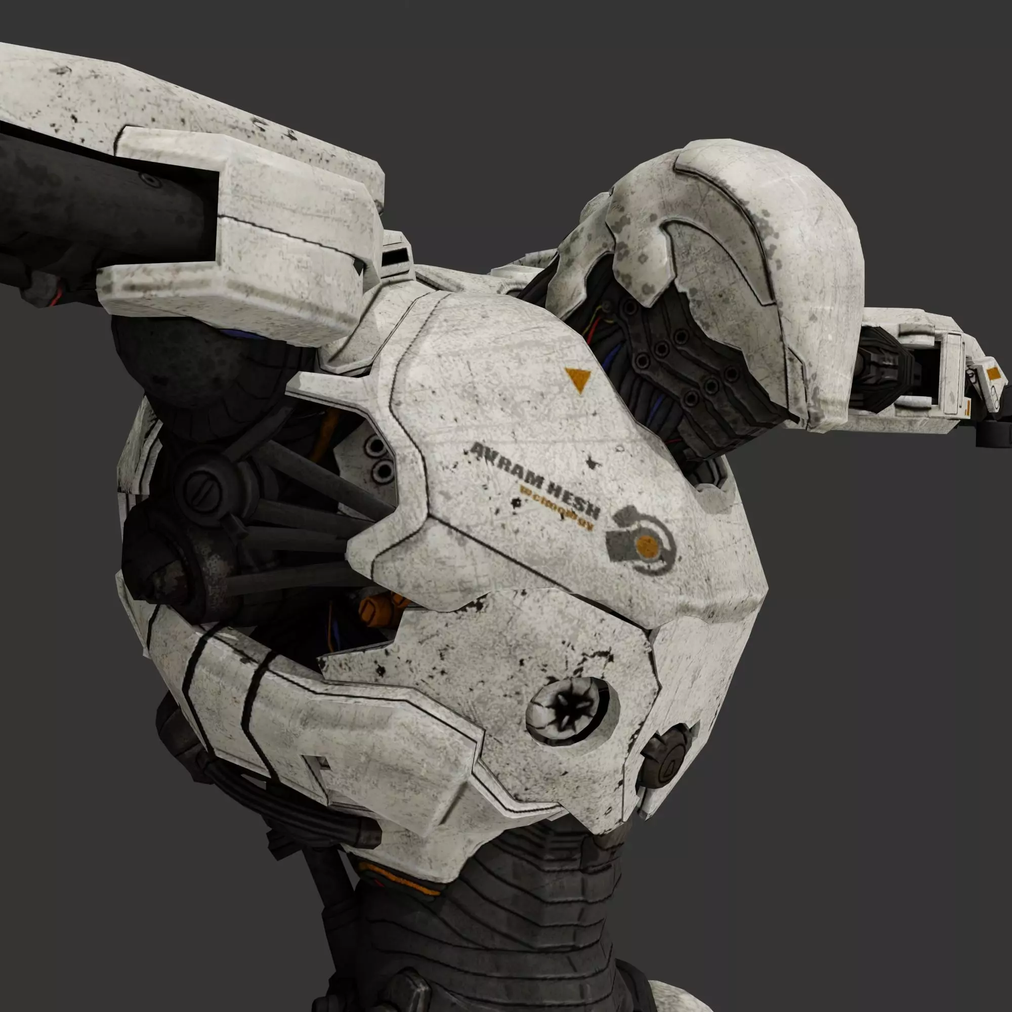 ZORN THE ROBOT  Low-poly 3D model_0