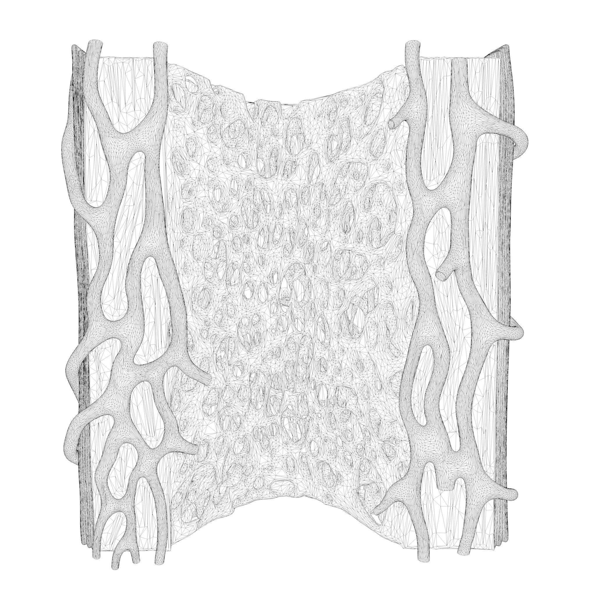 Bone Structure Anatomy Periosteum Spongy  3D model_8