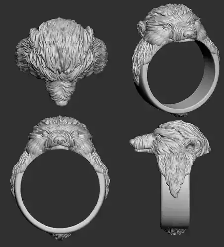 Porcupine Ring