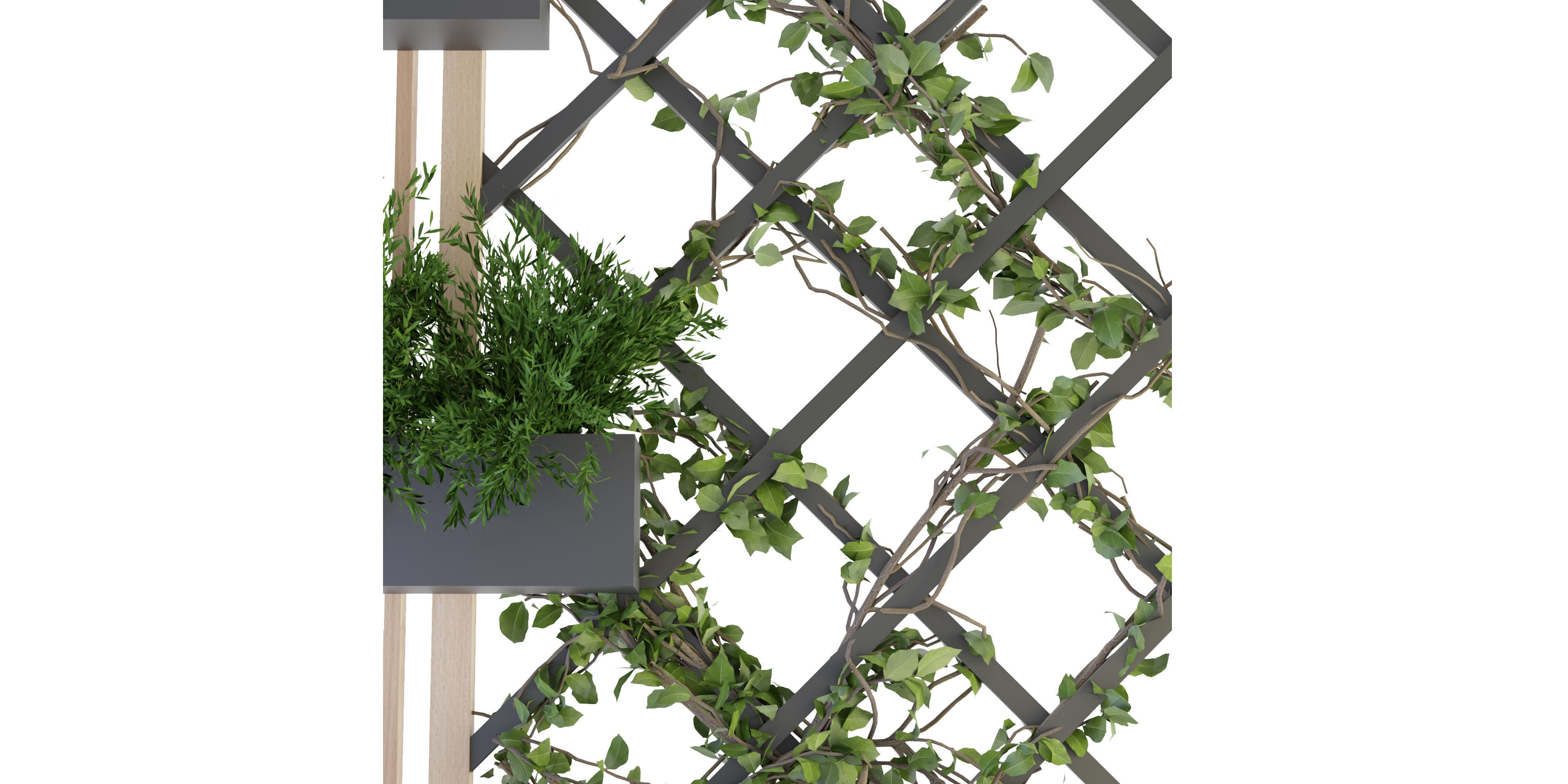 Collection plant vol 81 - blender model 3D model_3