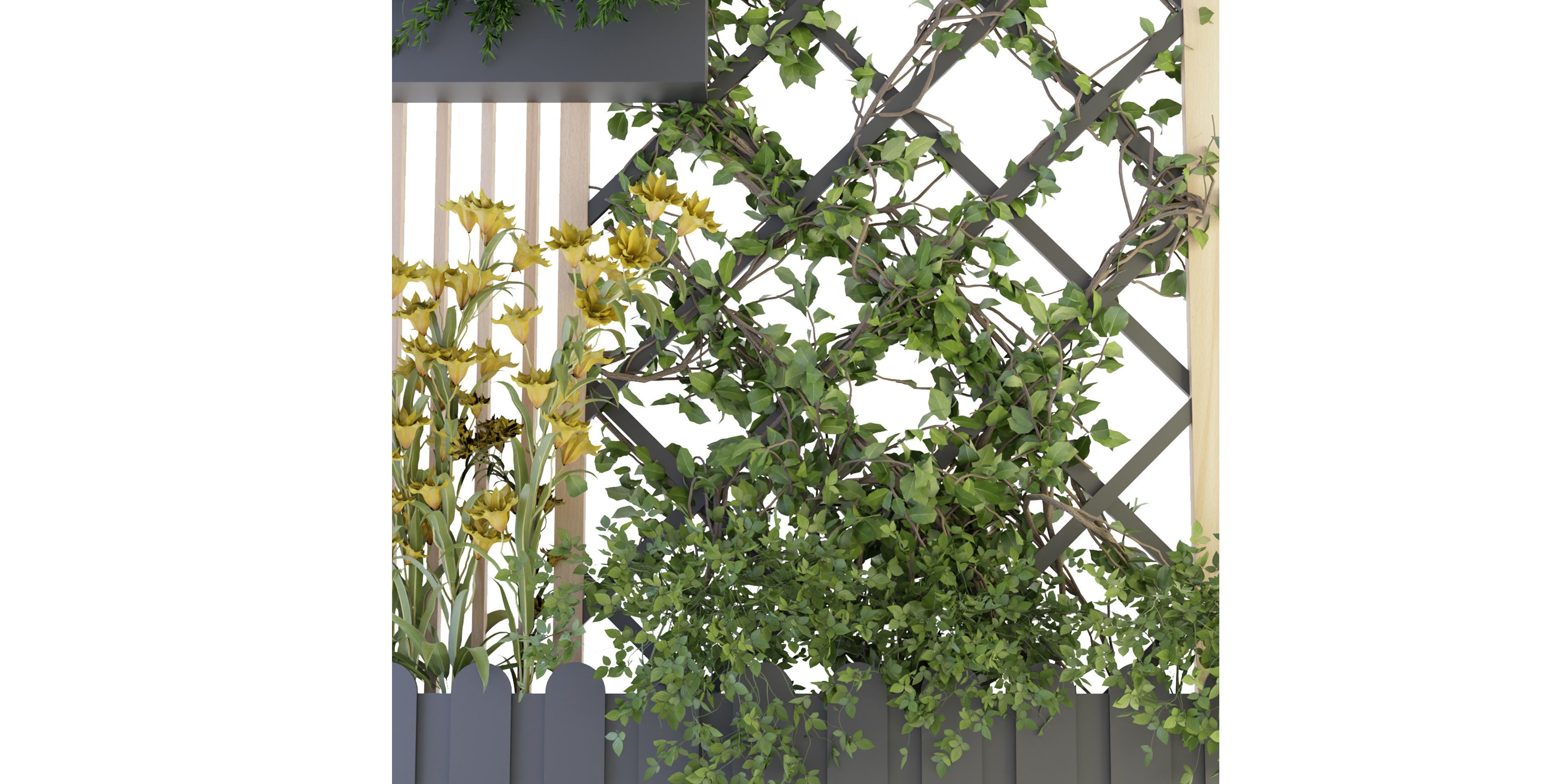 Collection plant vol 81 - blender model 3D model_2