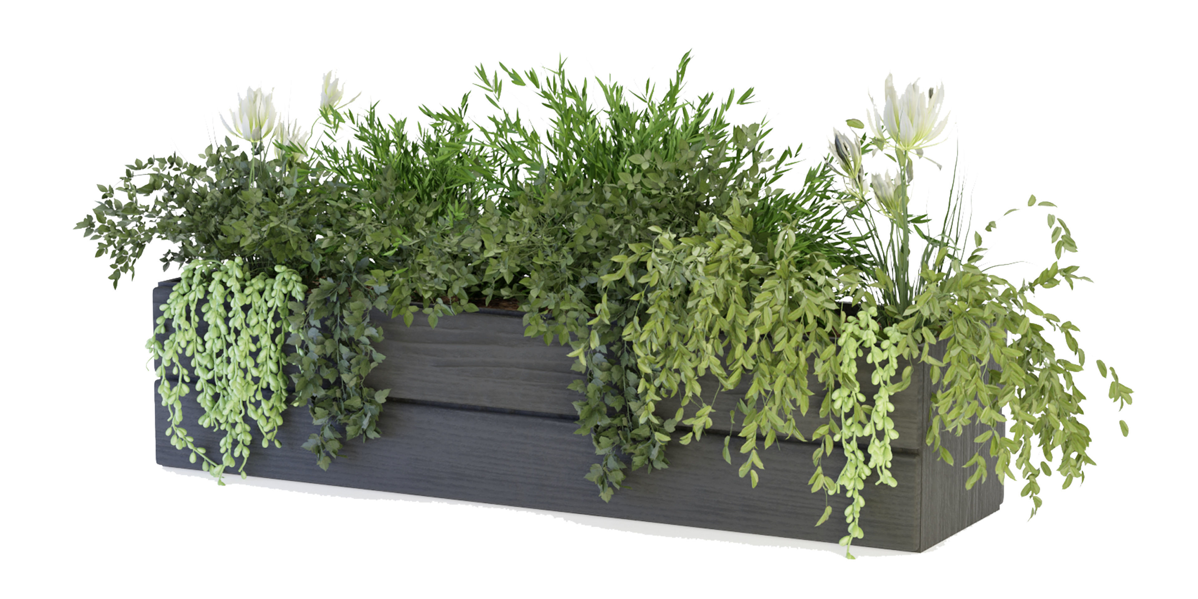 Collection plant vol 90 - blender model 3D model_4