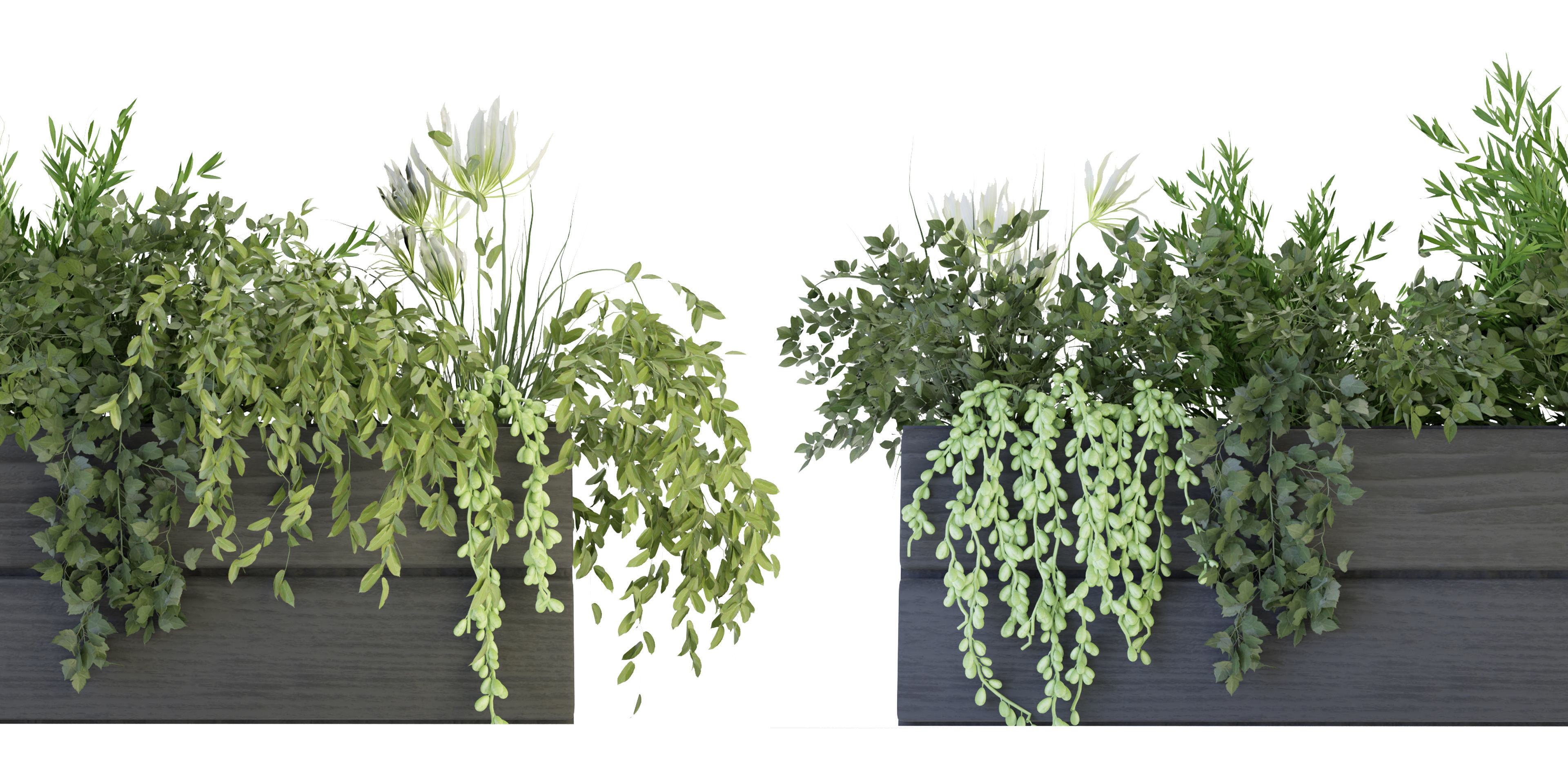 Collection plant vol 90 - blender model 3D model_3