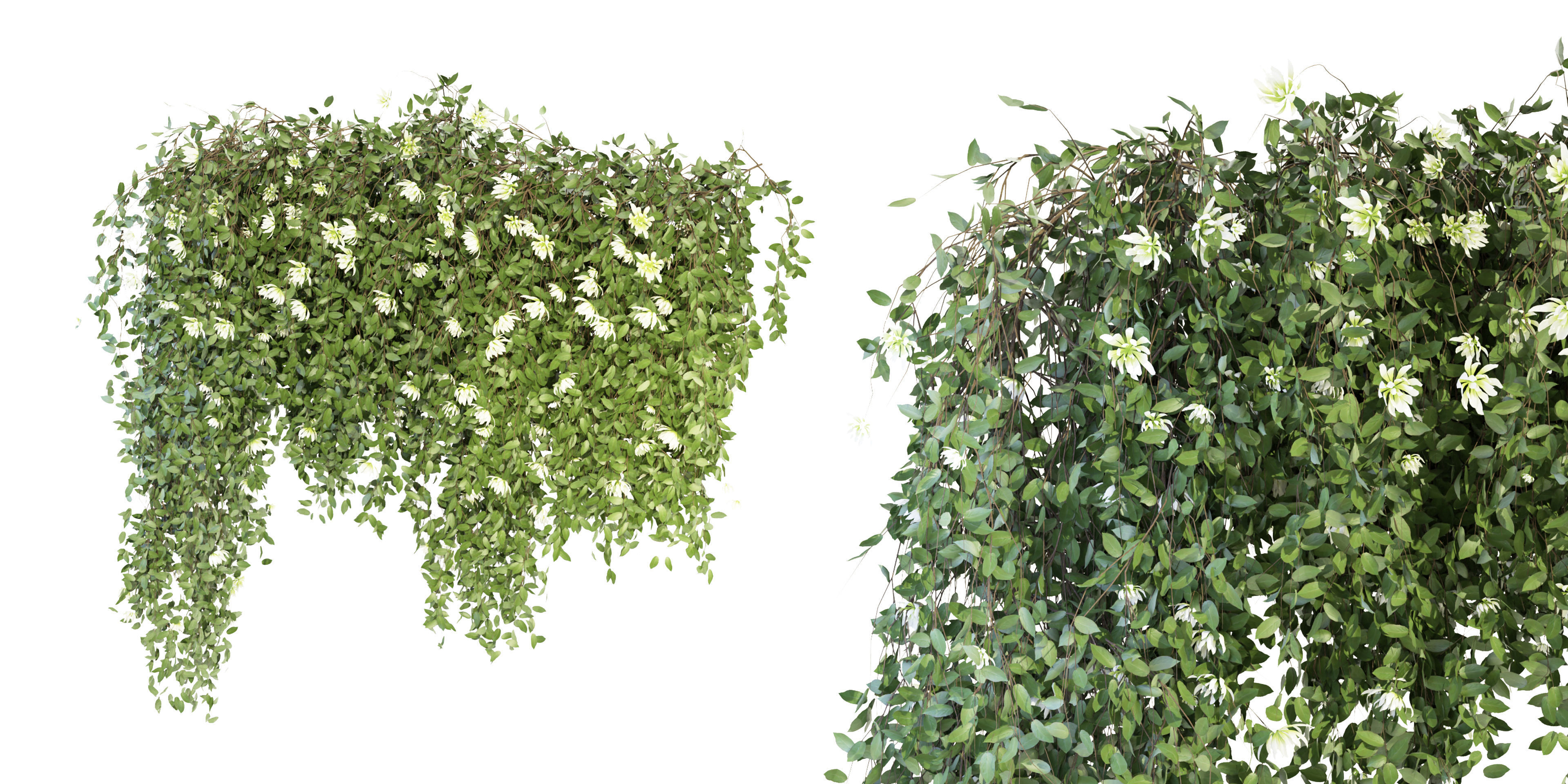 Collection plant vol 92 - blender model  3D model_2