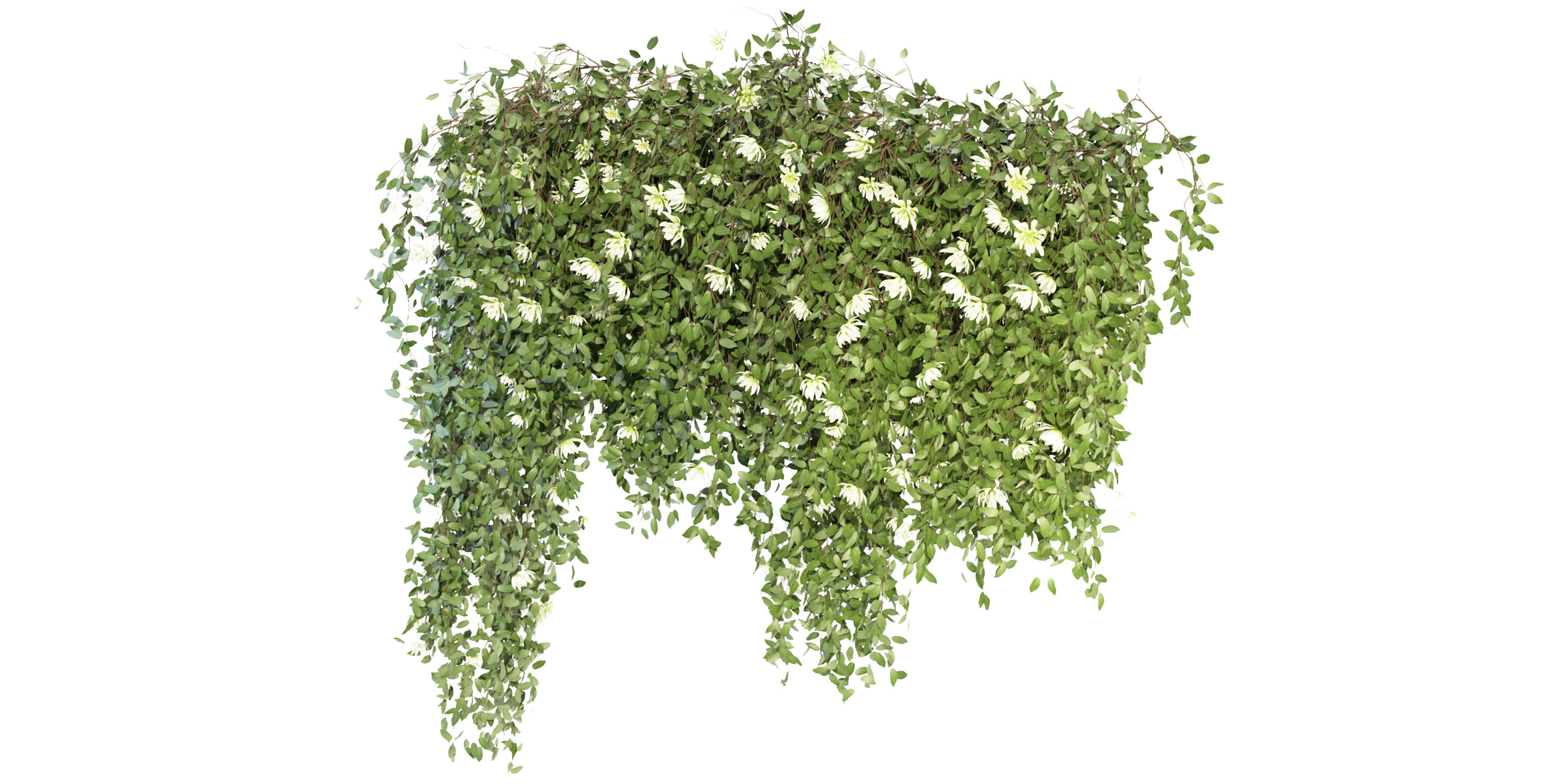 Collection plant vol 92 - blender model  3D model_3