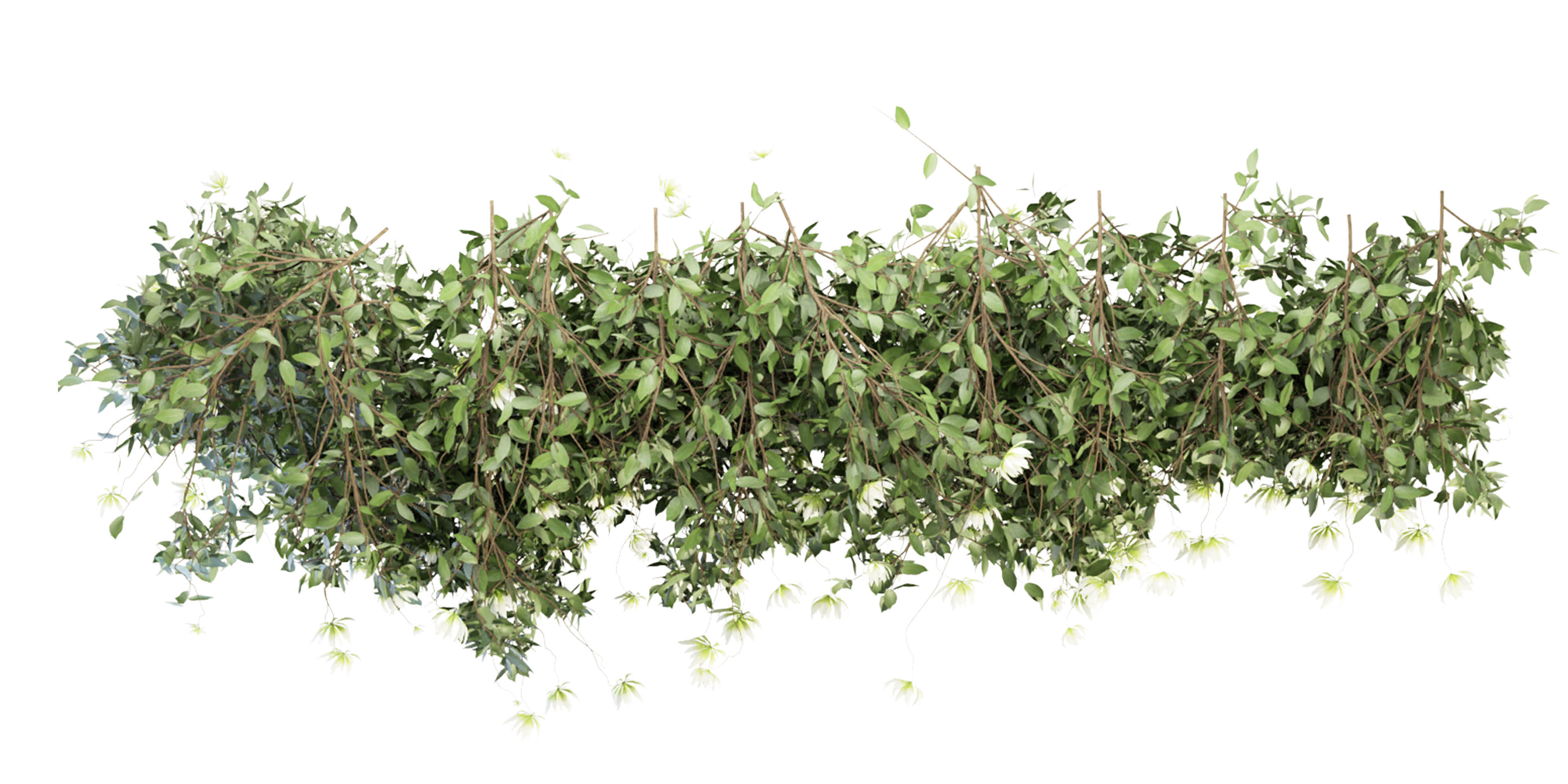 Collection plant vol 92 - blender model  3D model_4