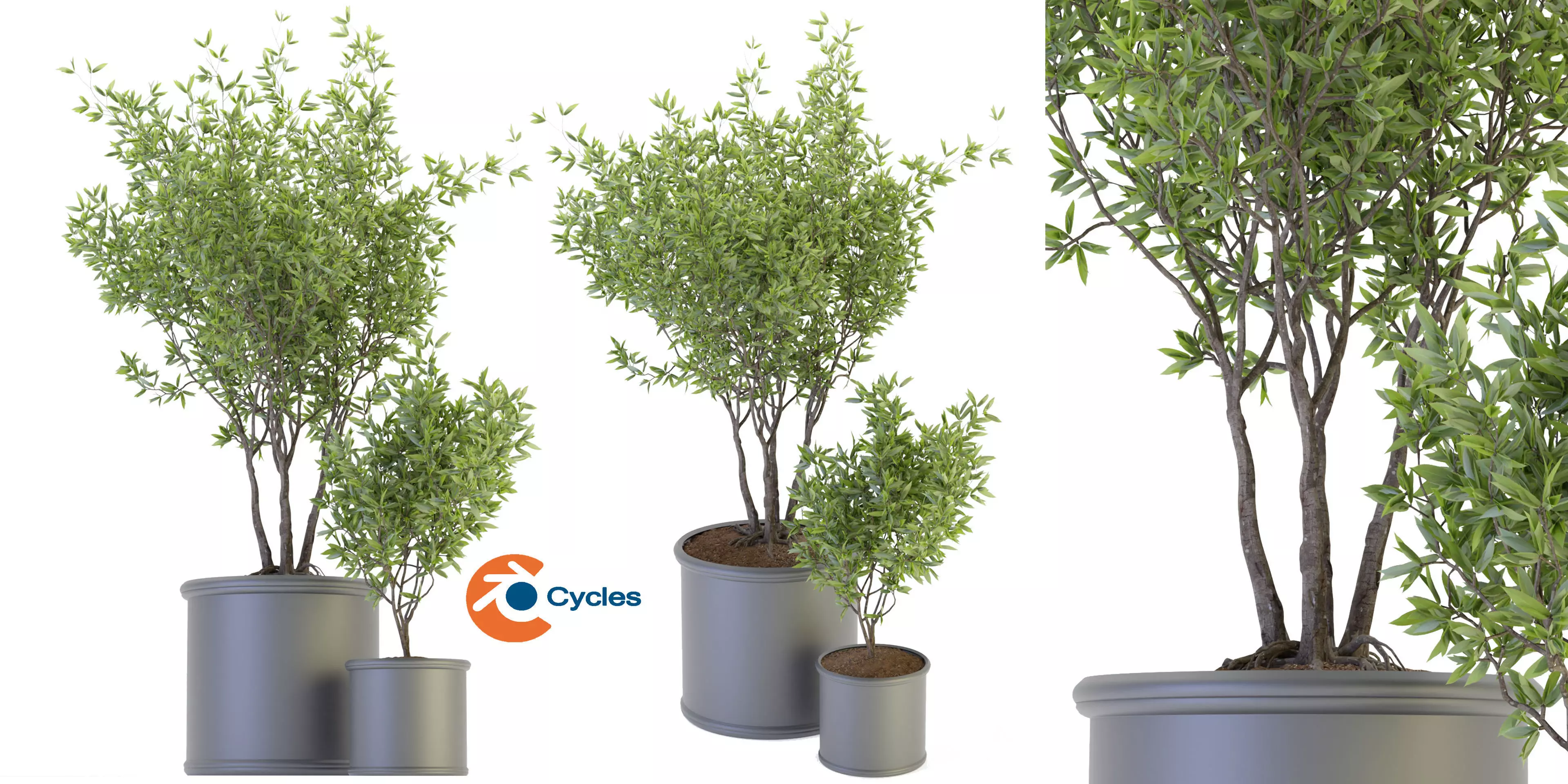 Collection plant vol 93 - blender model  3D model_0