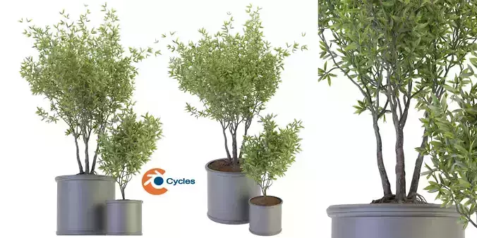 Collection plant vol 93 - blender model  3D model