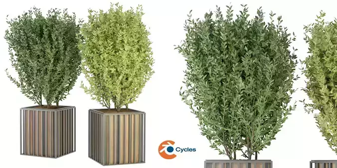 Collection plant vol 94 - blender model  3D model