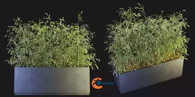 Collection plant vol 95 - blender model 