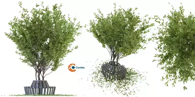 Collection plant vol 106 - blender model 