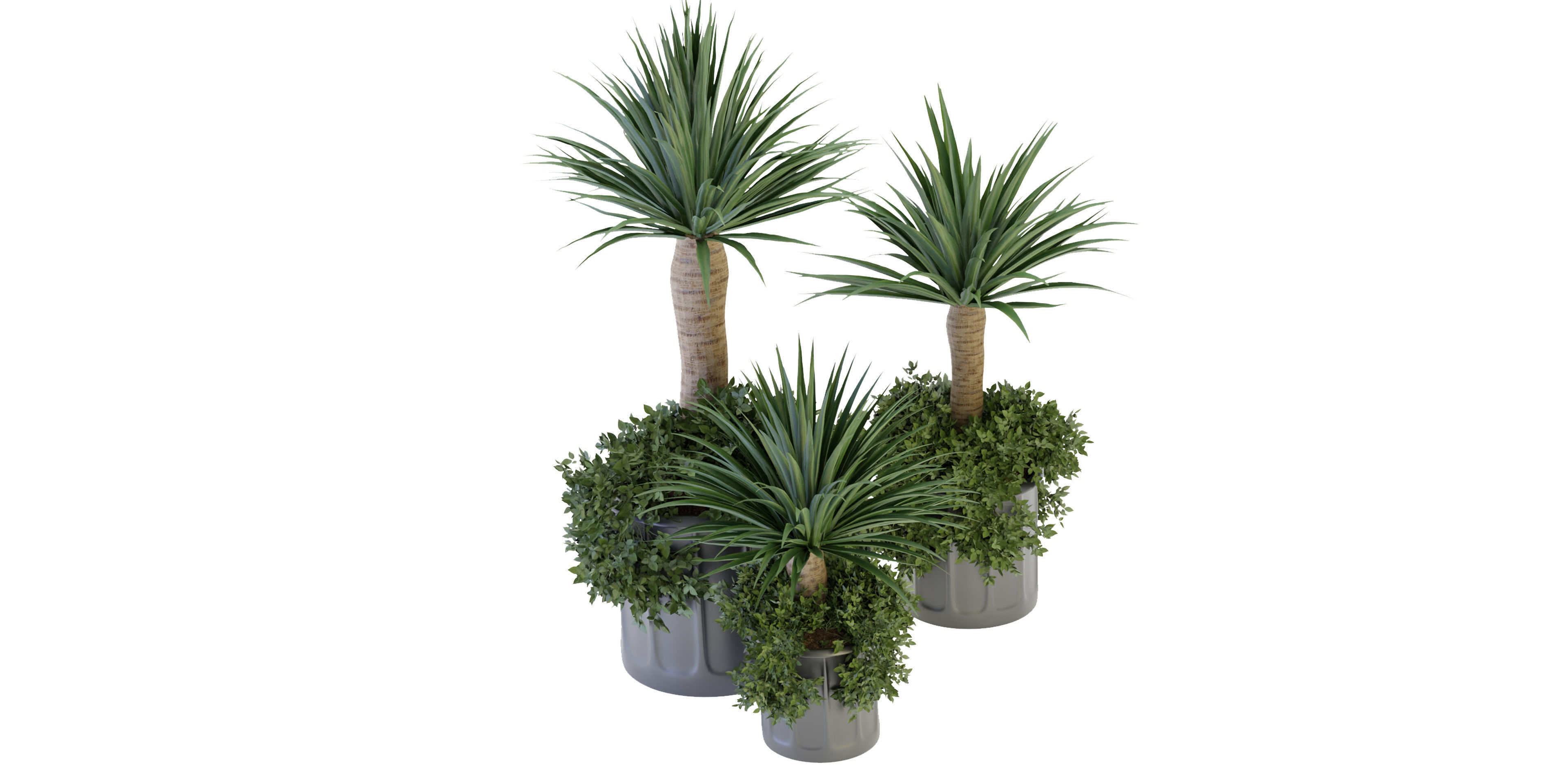 Collection plant vol 108 - blender model  3D model_3