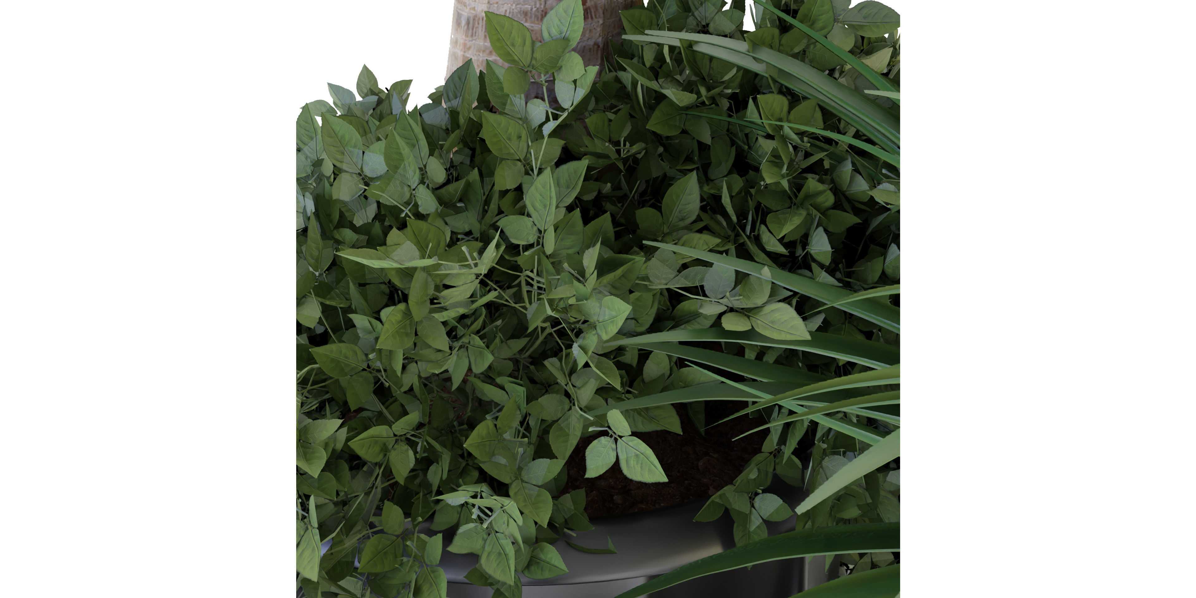 Collection plant vol 108 - blender model  3D model_5