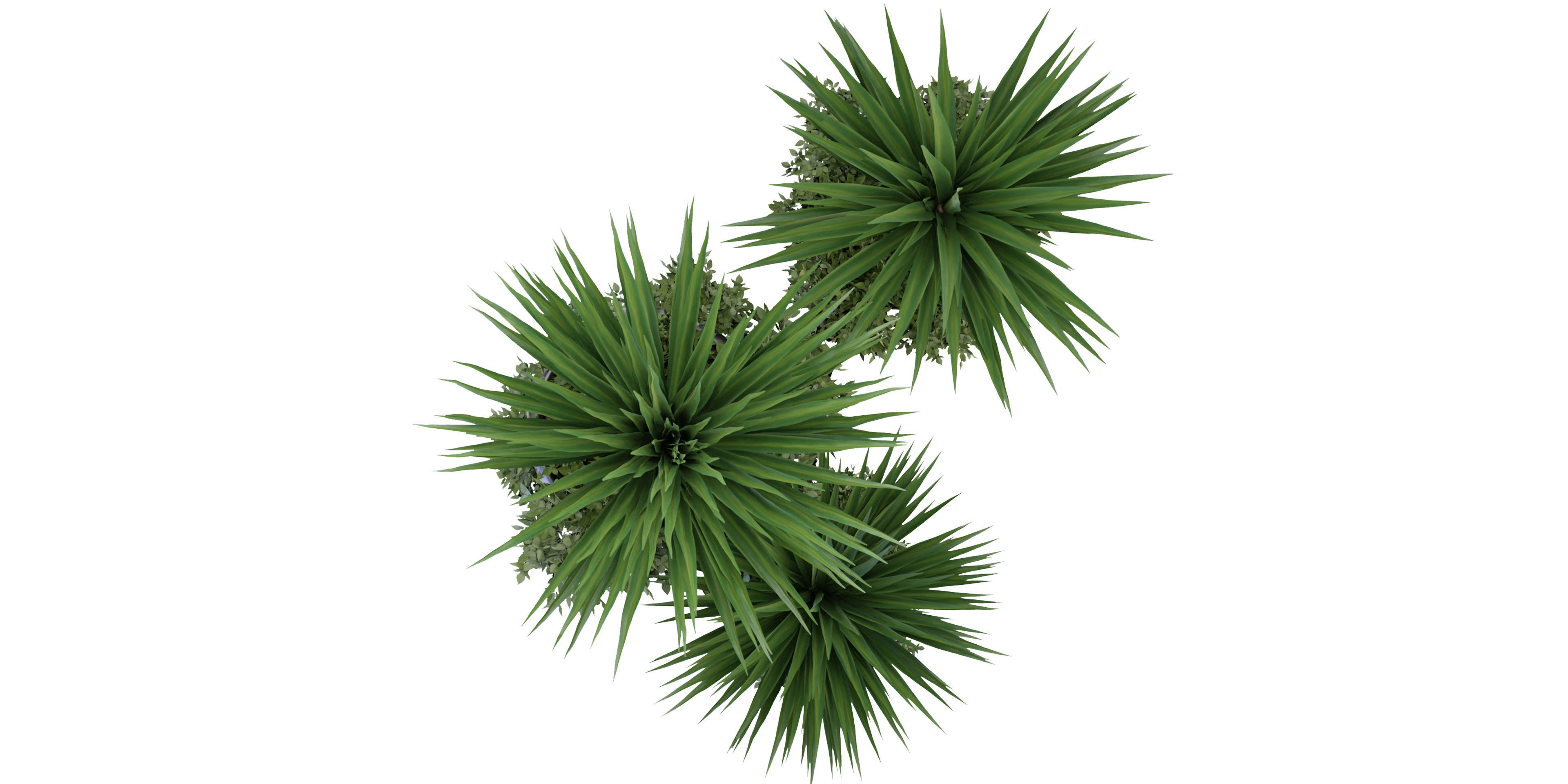 Collection plant vol 108 - blender model  3D model_4