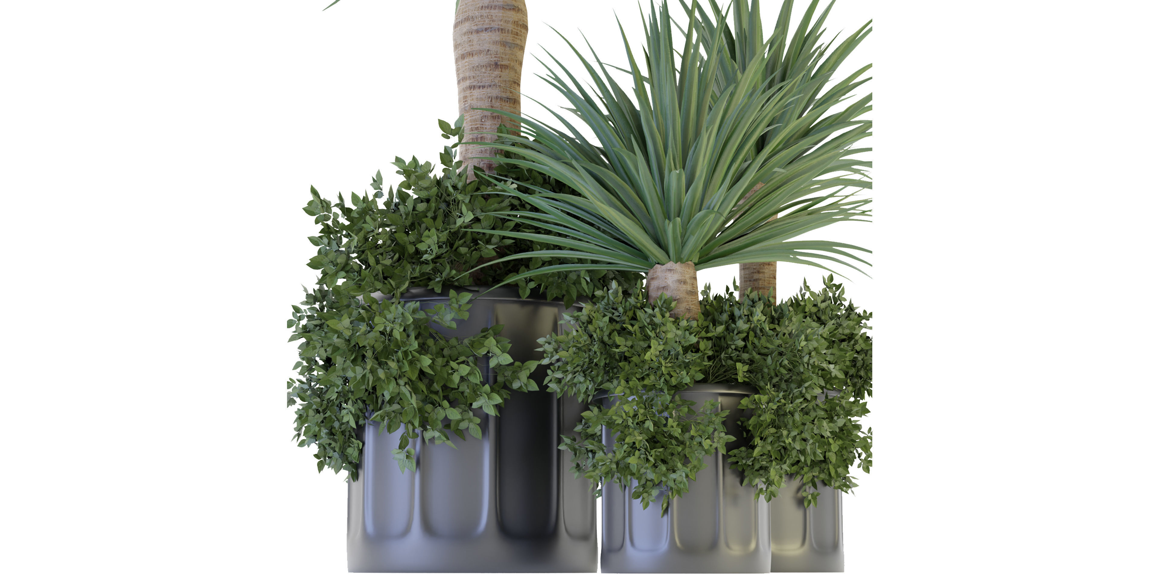 Collection plant vol 108 - blender model  3D model_2