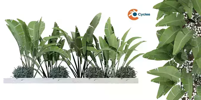 Collection plant vol 109 - blender model