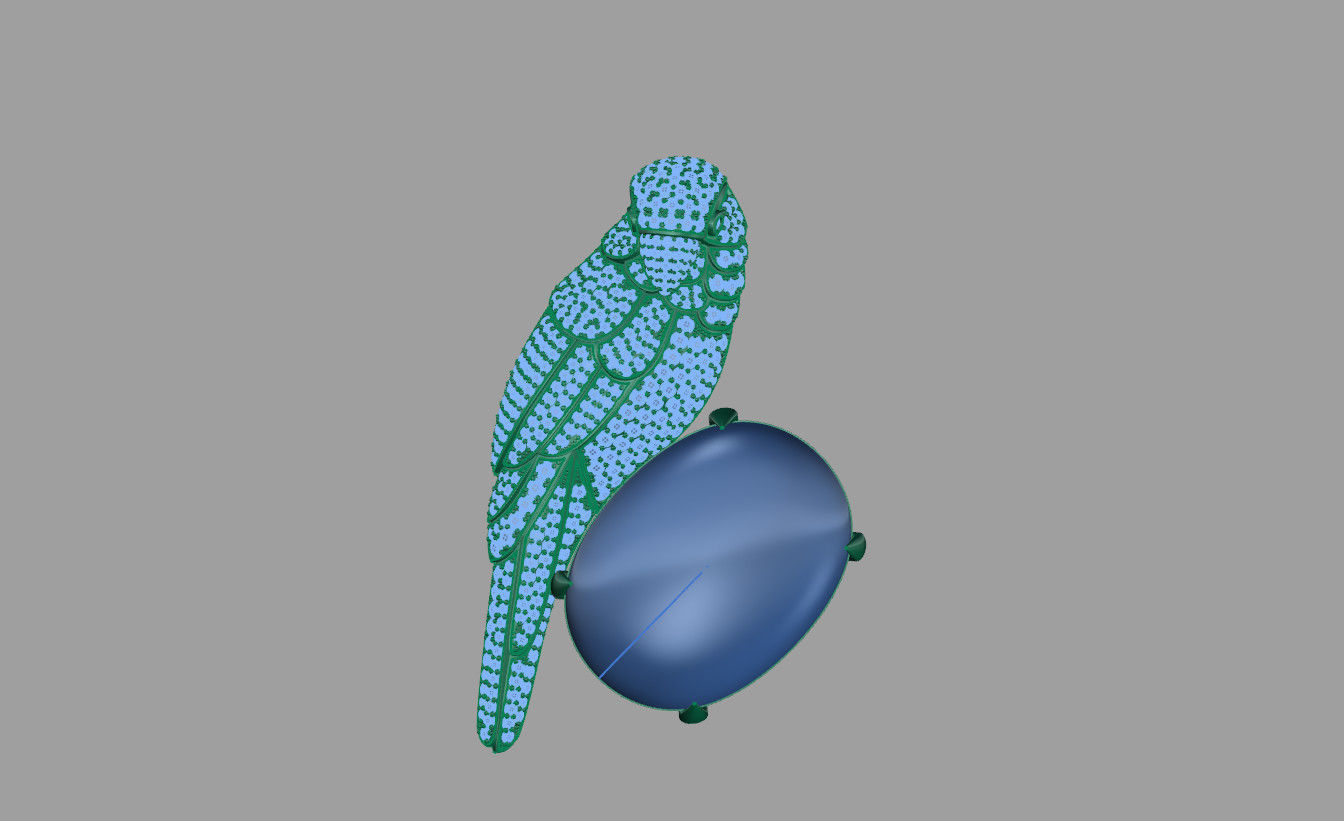 parrots 3D print model_2