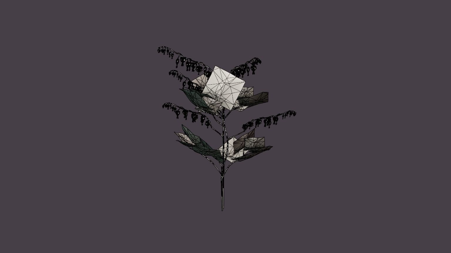 Bleeding Heart Low-poly 3D model_7