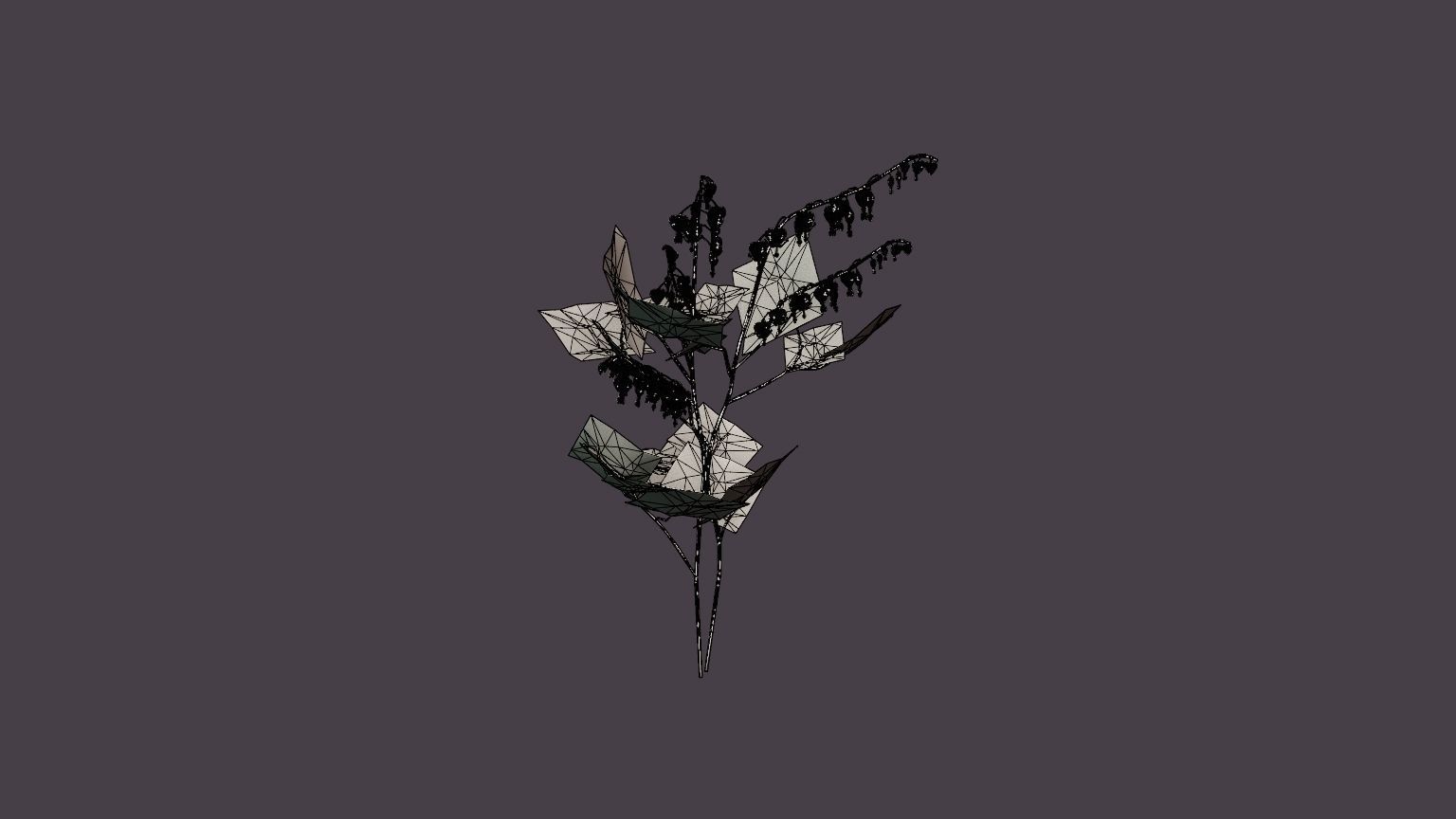 Bleeding Heart Low-poly 3D model_5