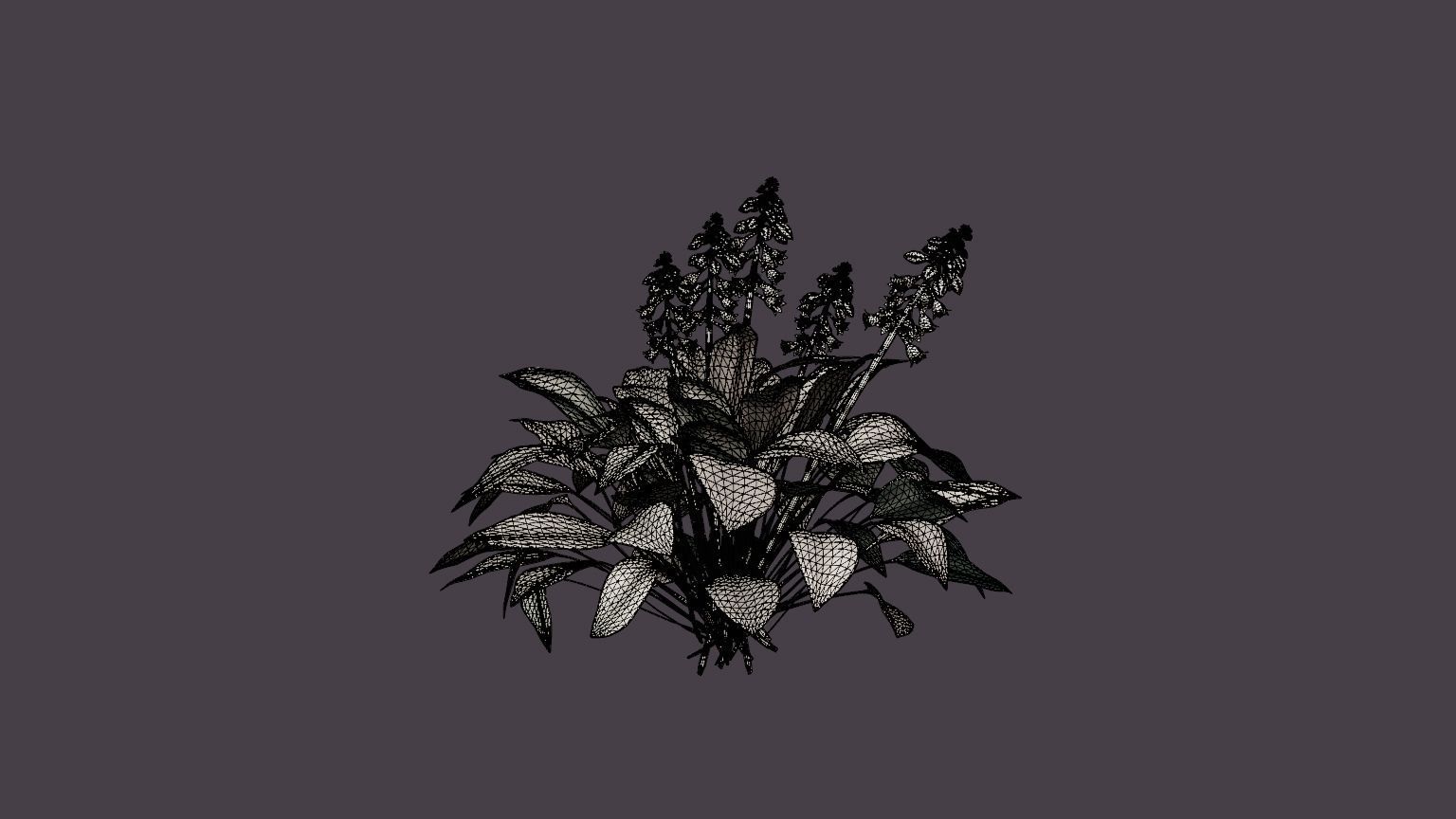 Halcyon Plantain Lily Low-poly 3D model_6