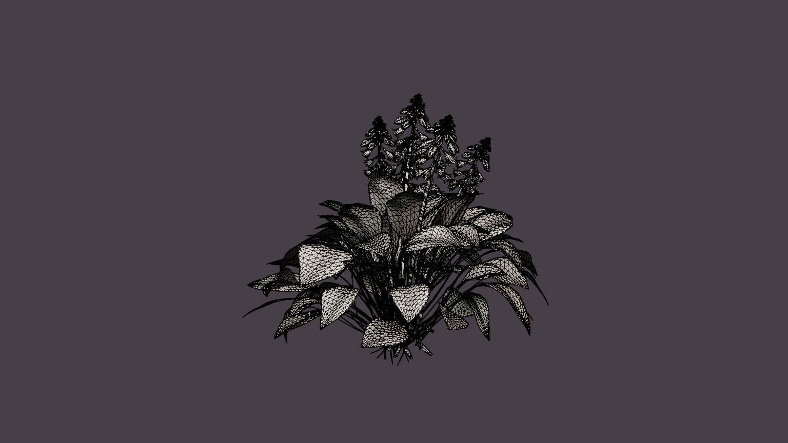 Halcyon Plantain Lily Low-poly 3D model_5