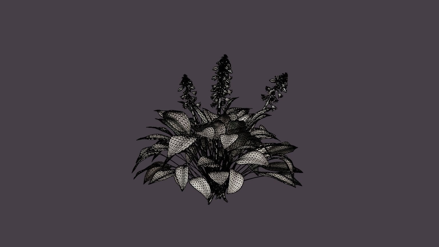 Halcyon Plantain Lily Low-poly 3D model_7