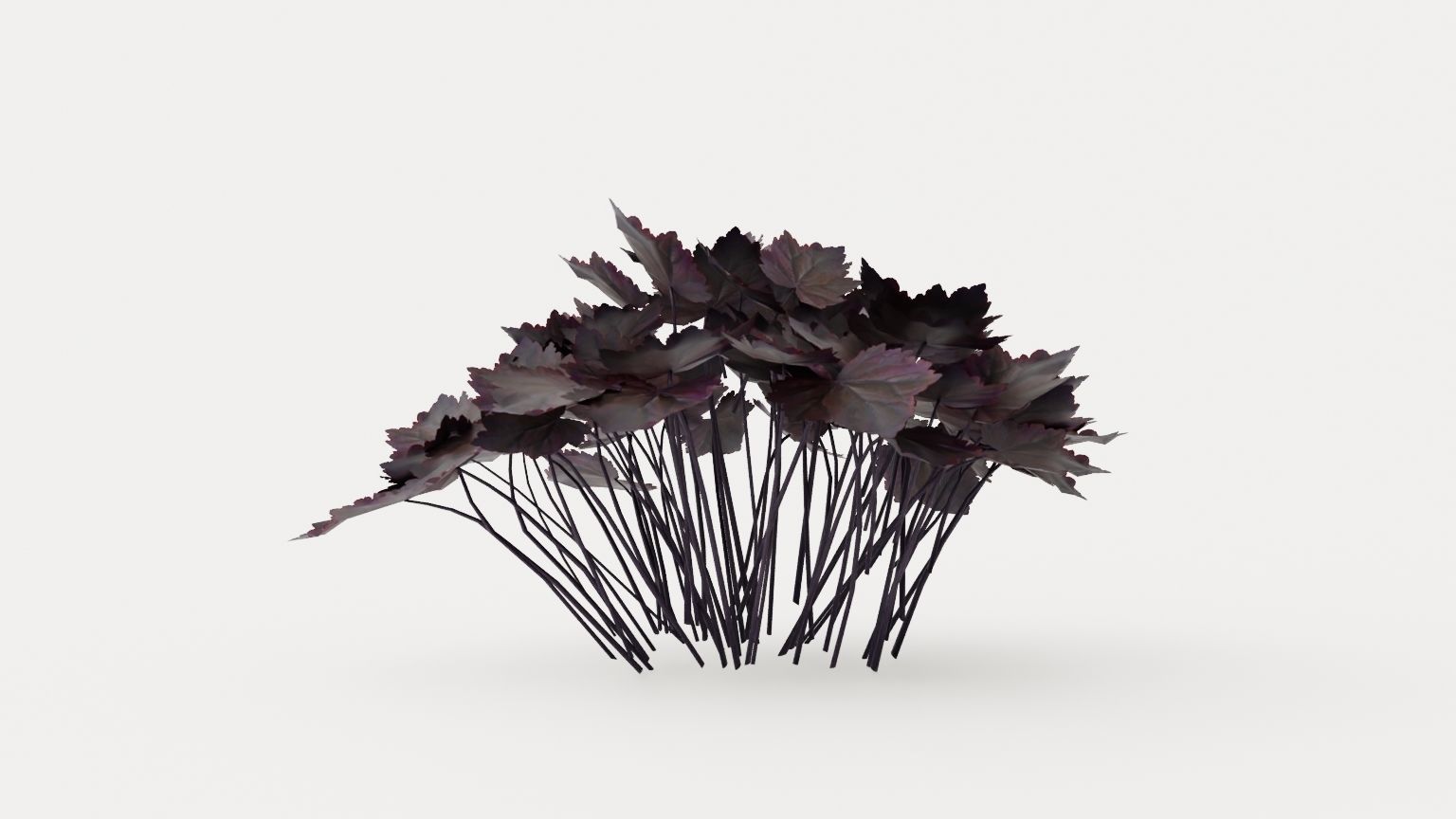 Palace Purple Coral Bells Low-poly 3D model_2