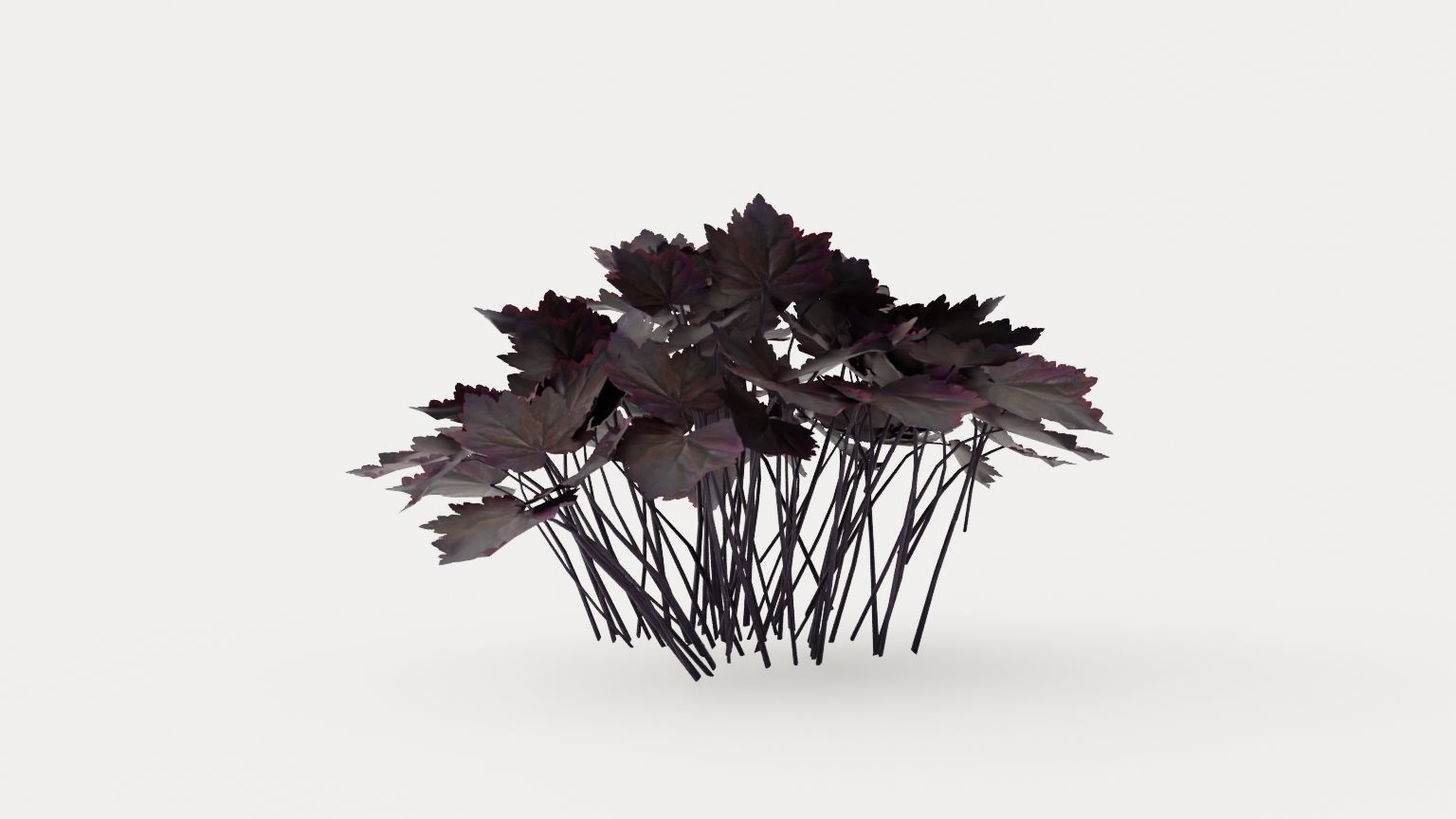 Palace Purple Coral Bells Low-poly 3D model_3