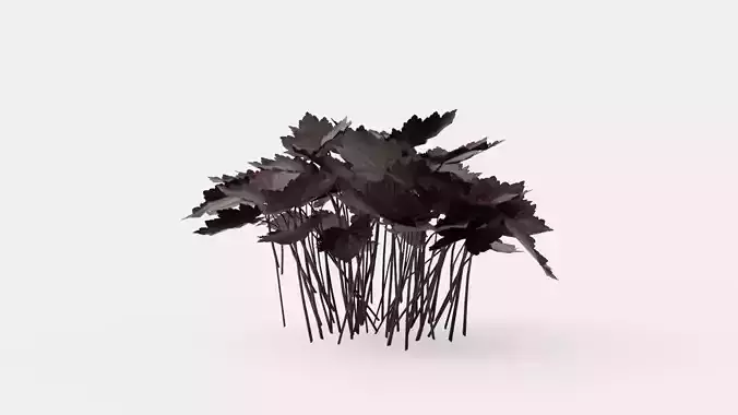 Palace Purple Coral Bells Low-poly 3D model