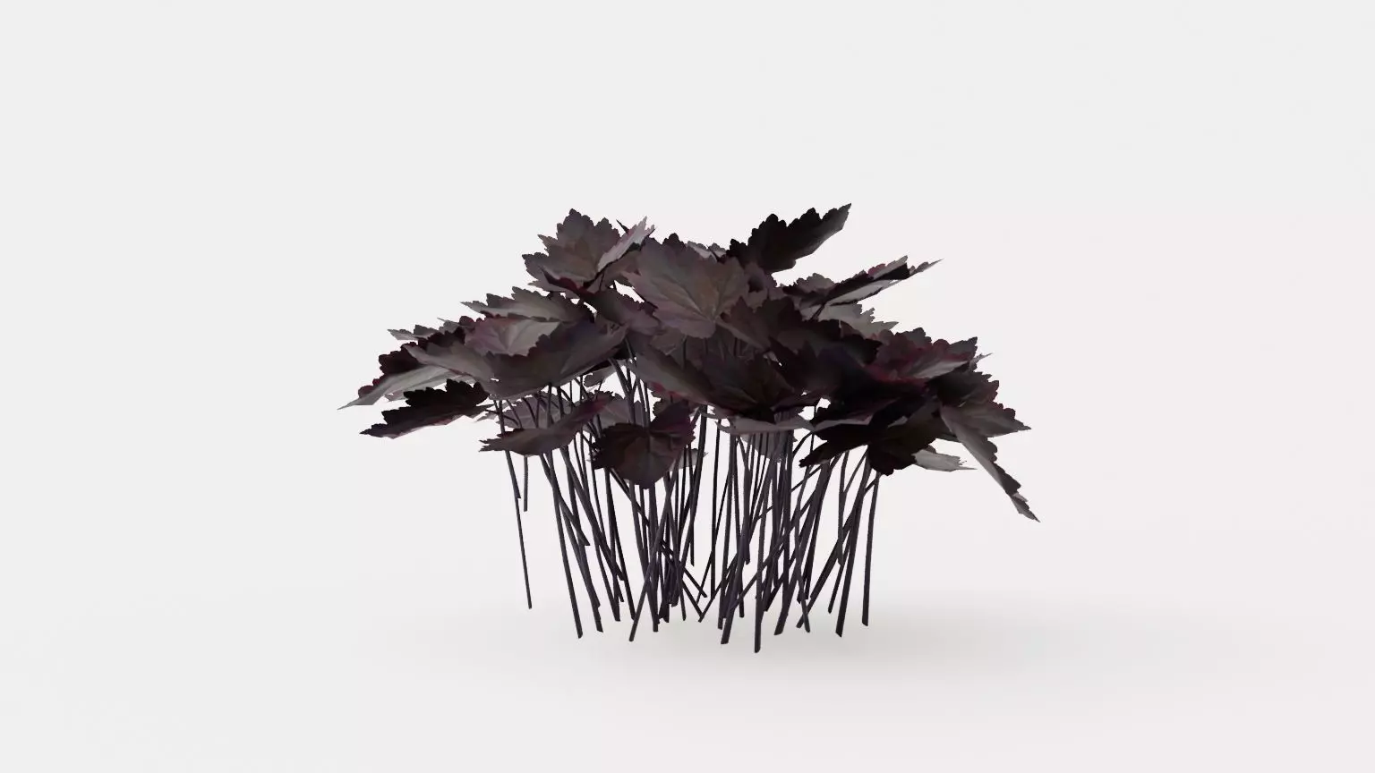 Palace Purple Coral Bells Low-poly 3D model_0