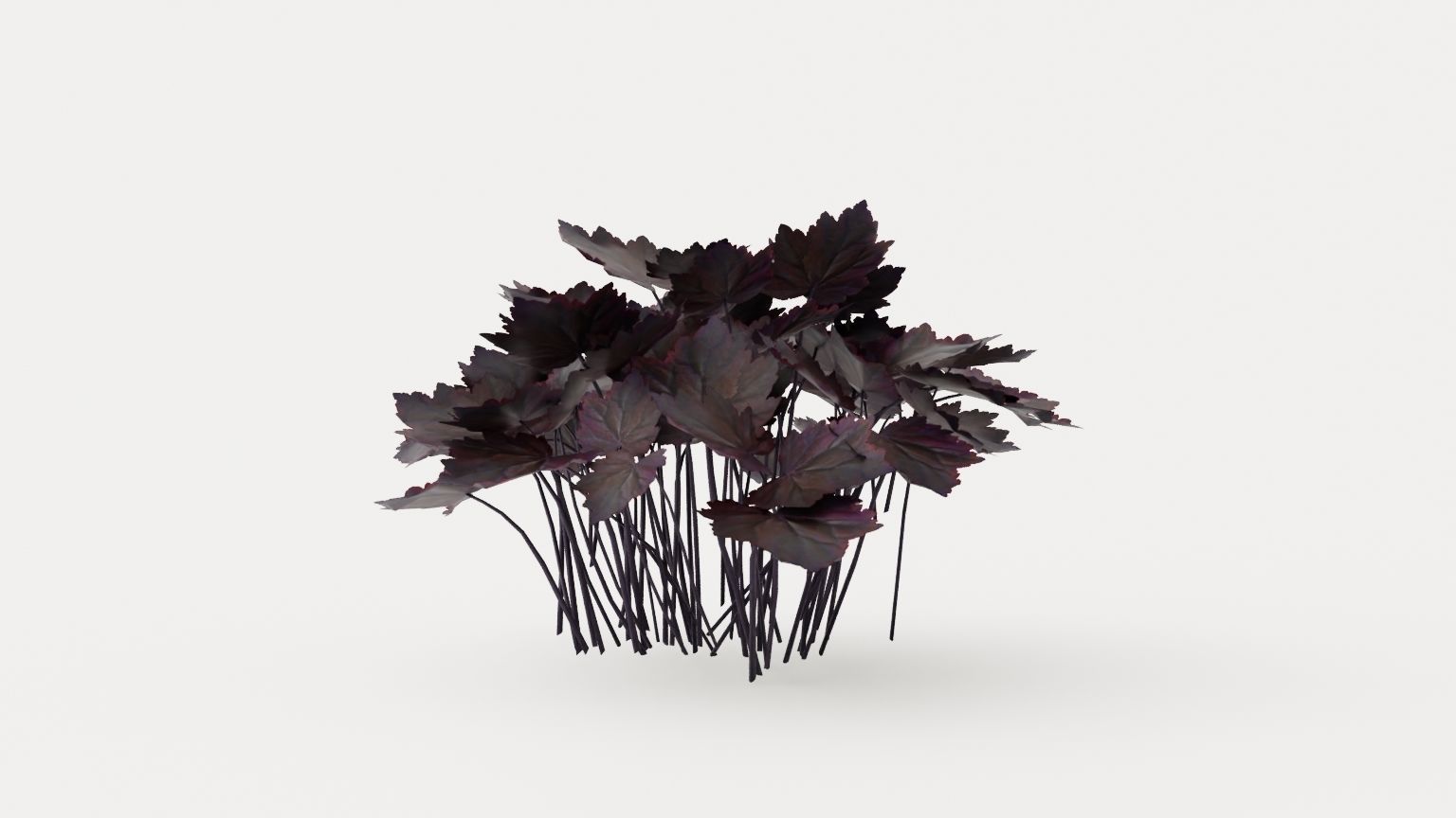Palace Purple Coral Bells Low-poly 3D model_4