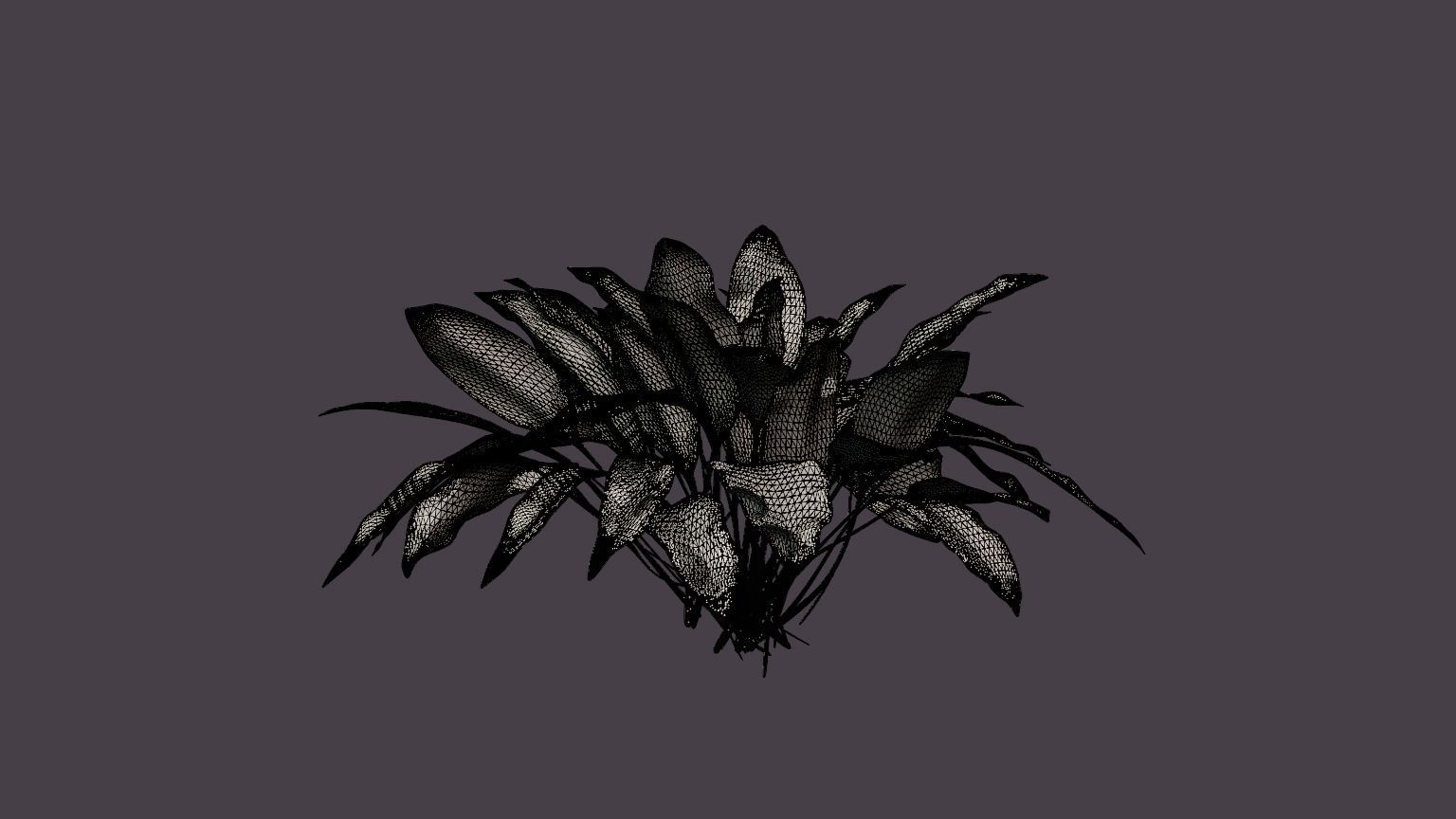 Patriot Plantain Lily Low-poly 3D model_6