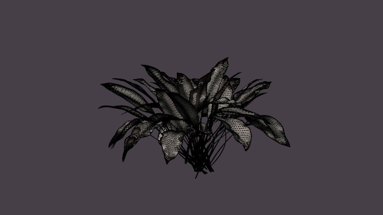 Patriot Plantain Lily Low-poly 3D model_5