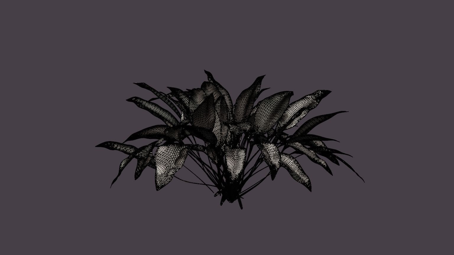 Patriot Plantain Lily Low-poly 3D model_7