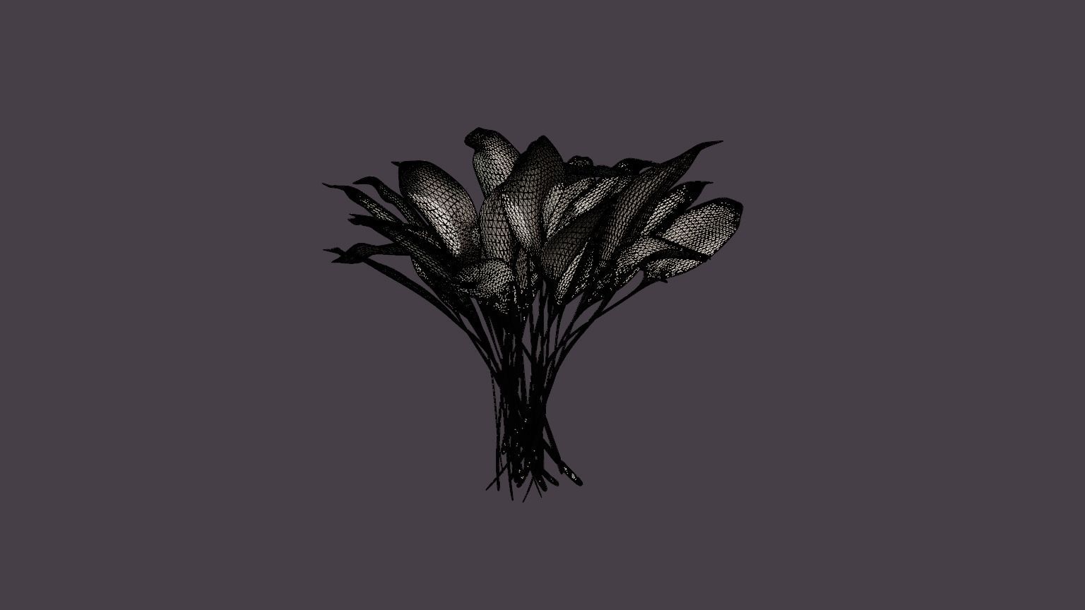 White Feather Plantain Lily Low-poly 3D model_5