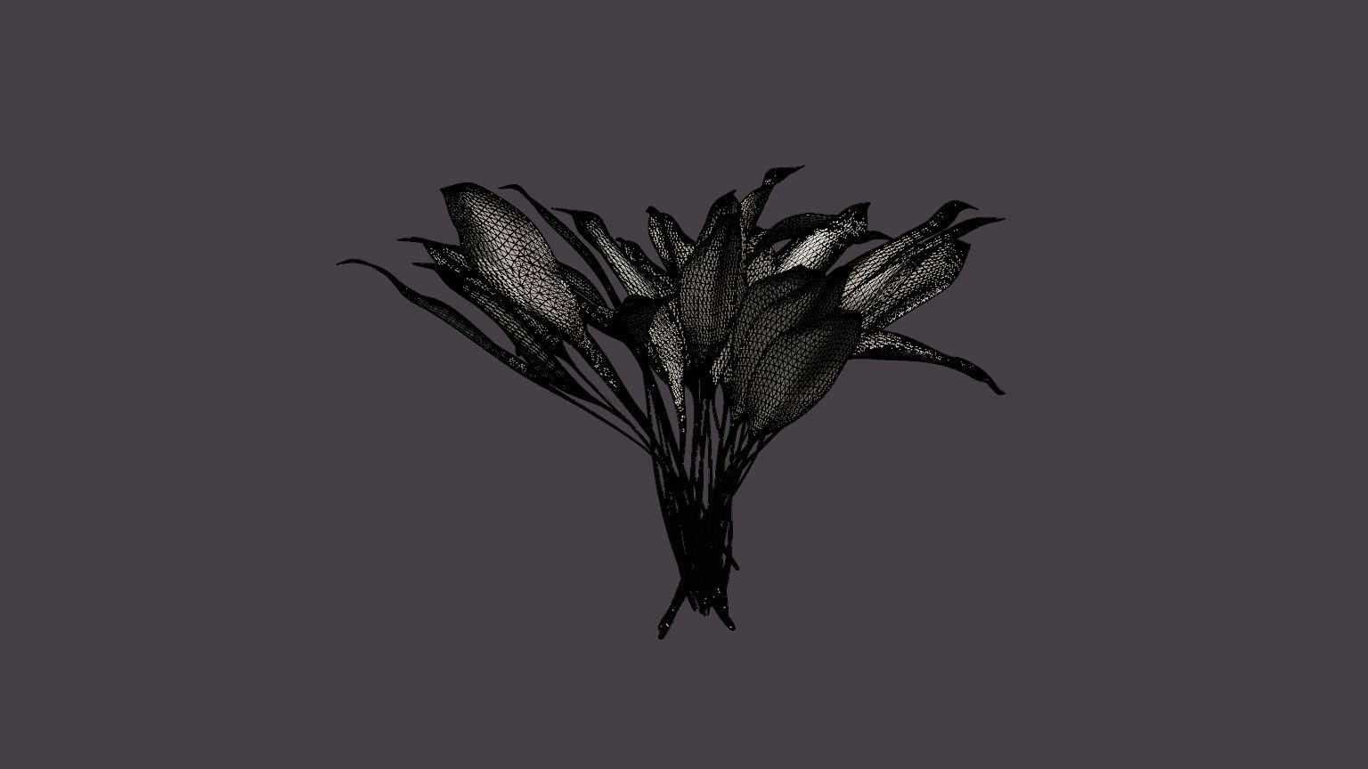 White Feather Plantain Lily Low-poly 3D model_7